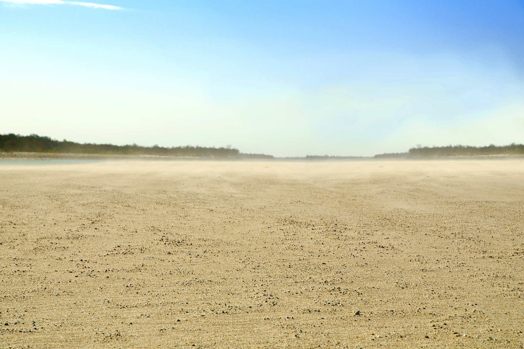 dusty shore
