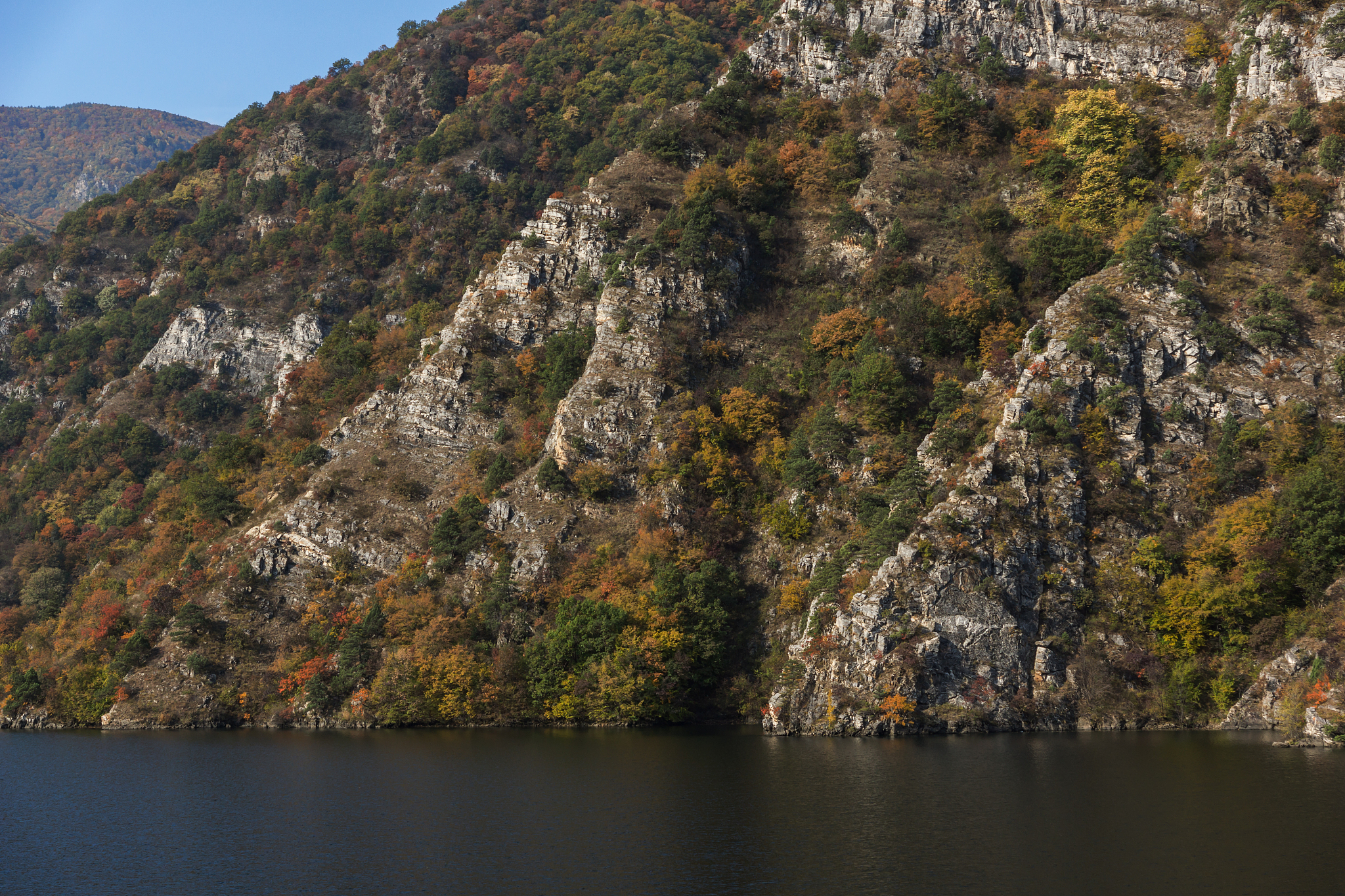 双学历评审工程师