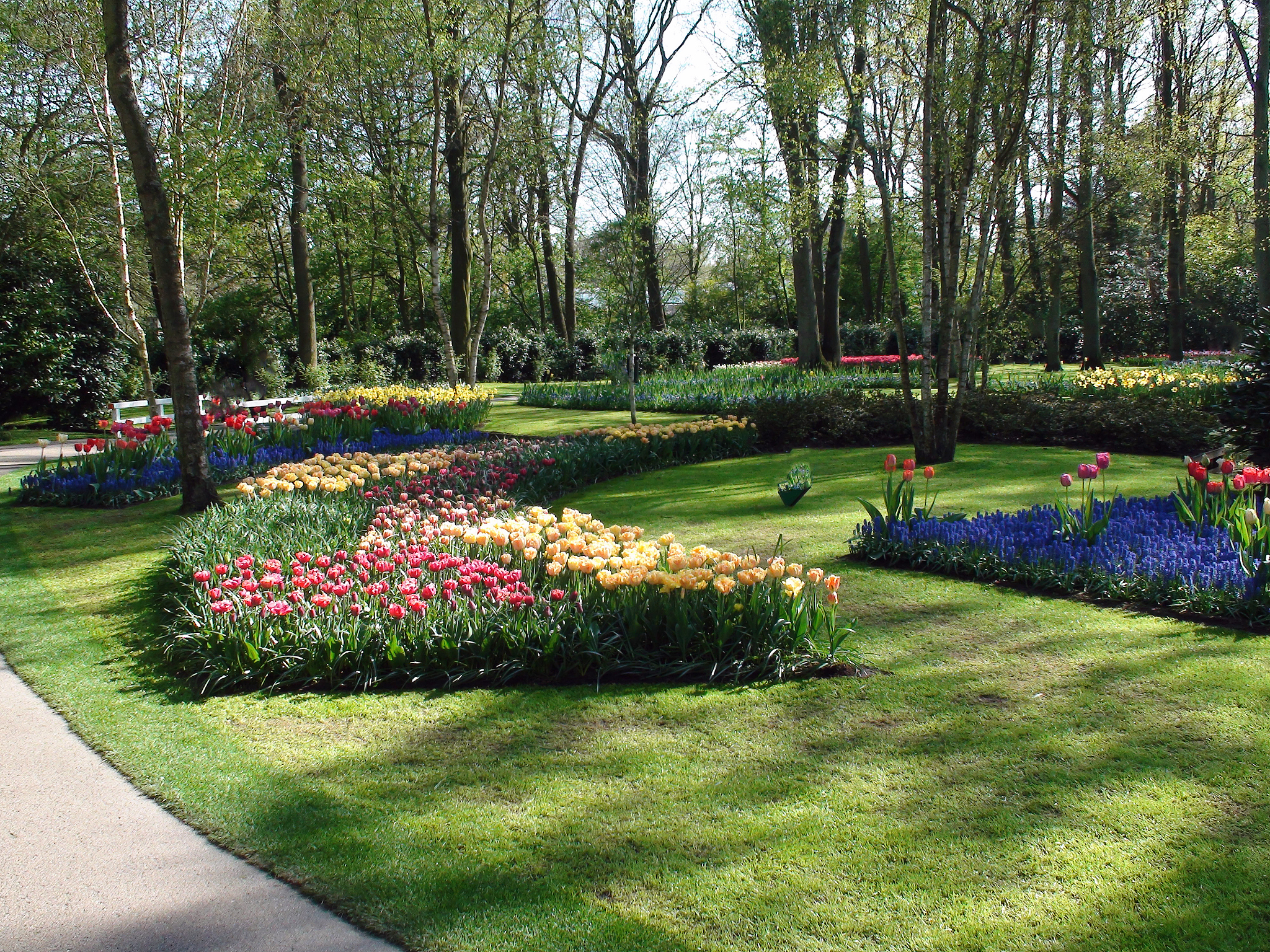 园区绿化养护全年工作计划方案 -  打造四季常青园区