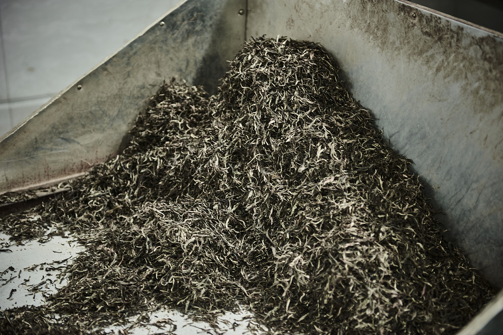 普洱生茶和普洱熟茶都属于后发酵茶吗？