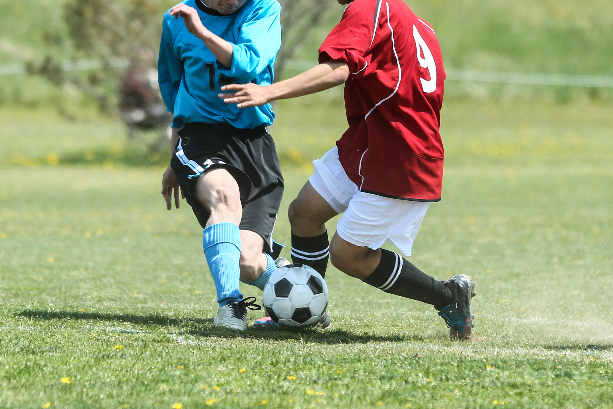 soccer