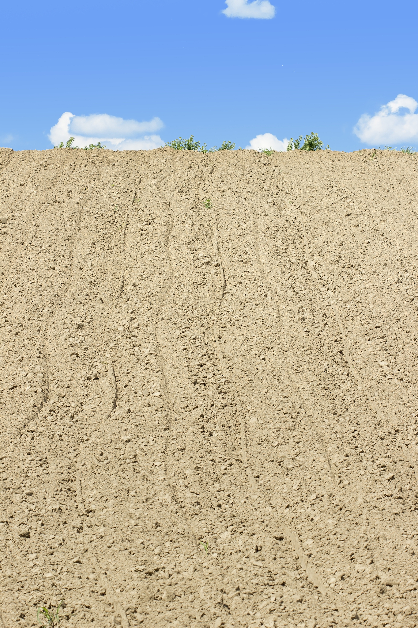 arable land