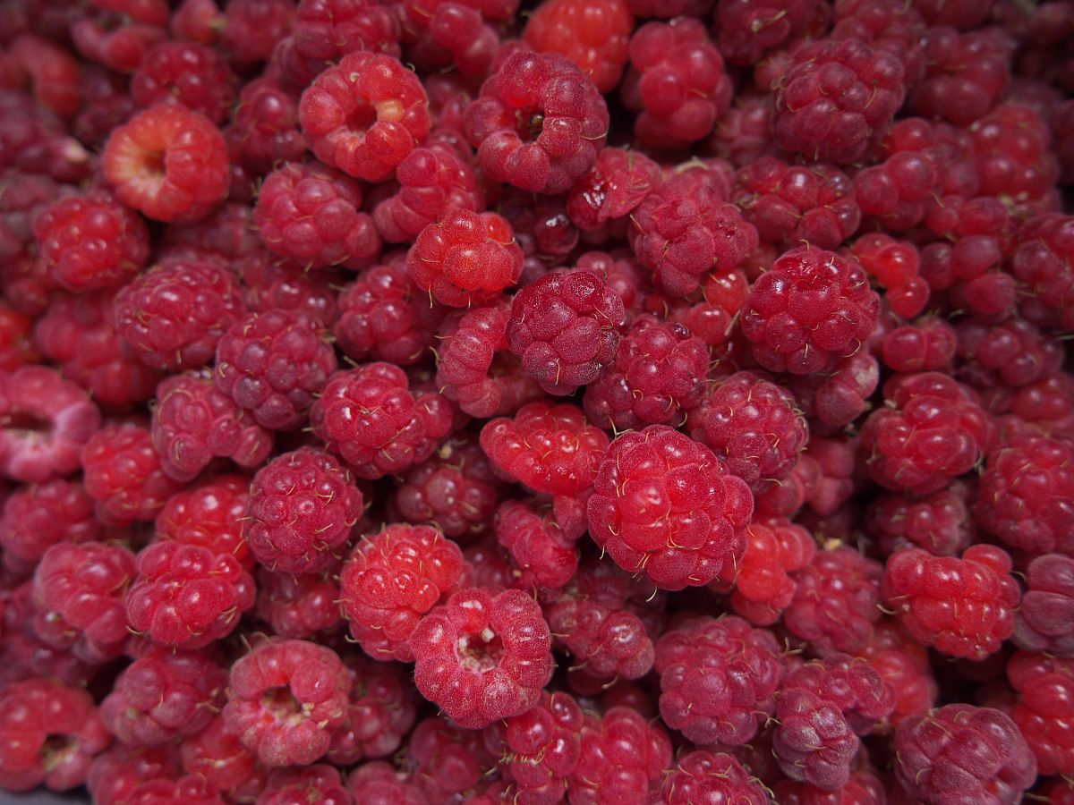 会计专硕/审计专硕考研：双一流大学推荐 & 备考建议