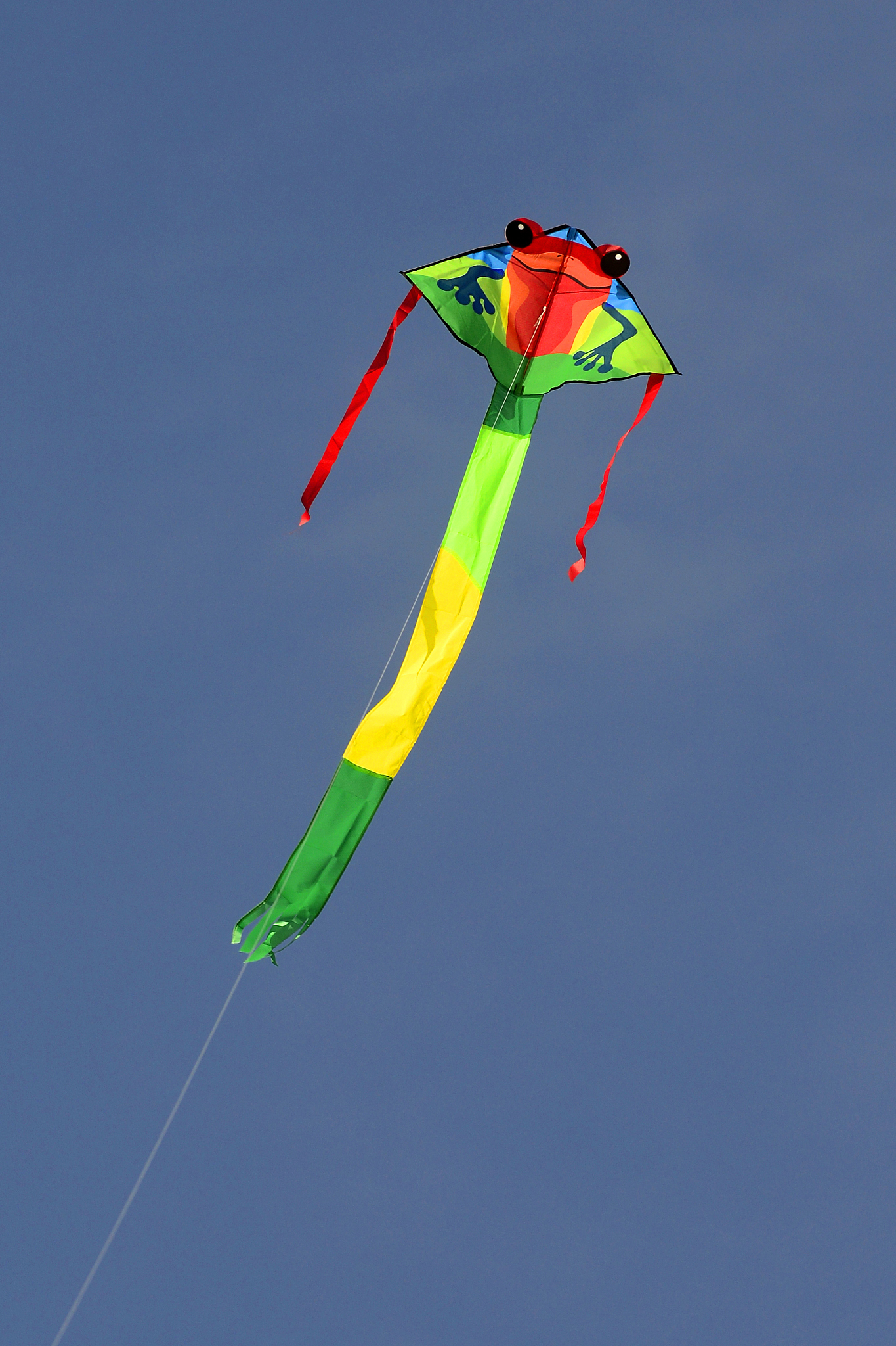 kite flying overhead against a blue sky