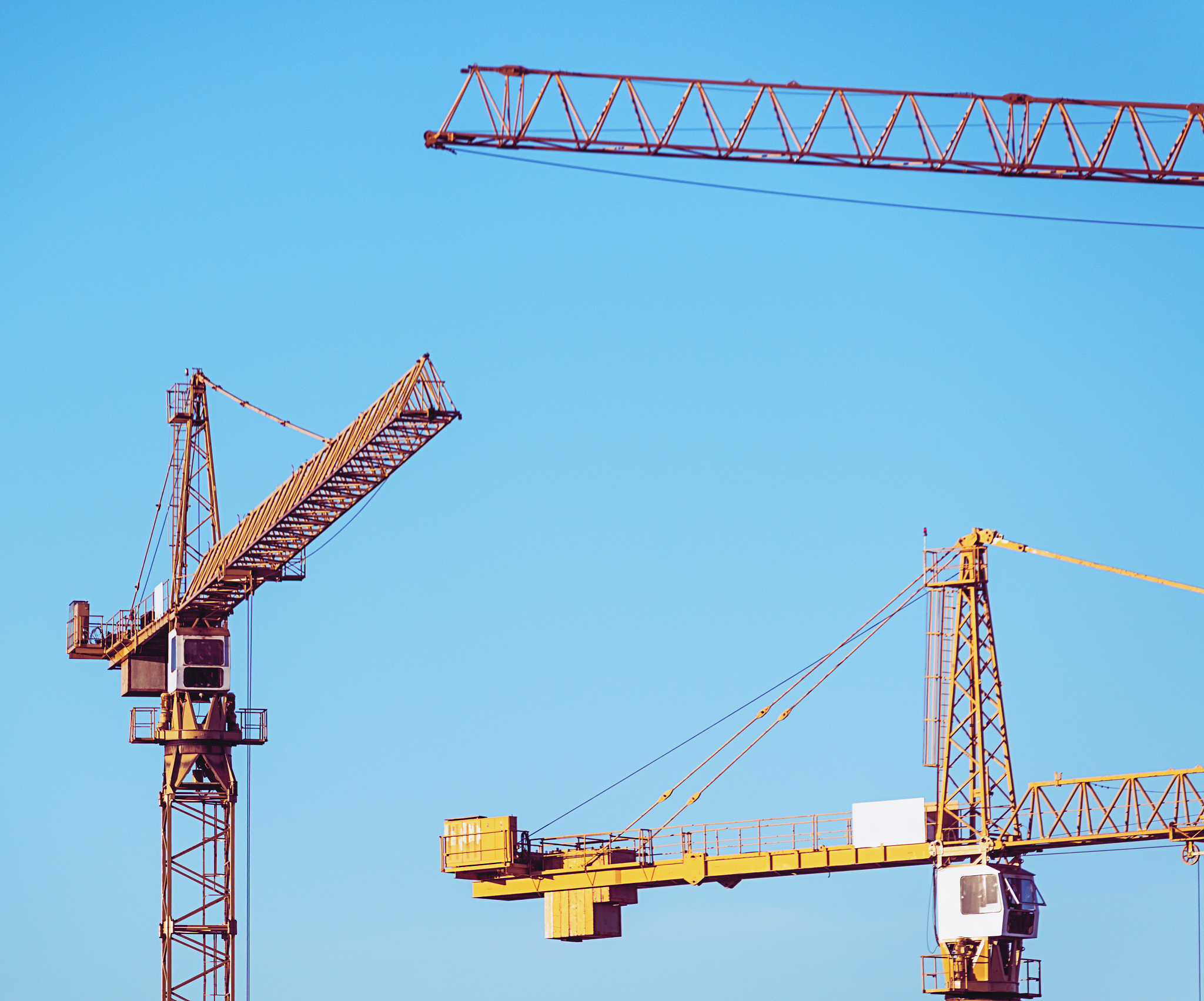 trio of cranes
