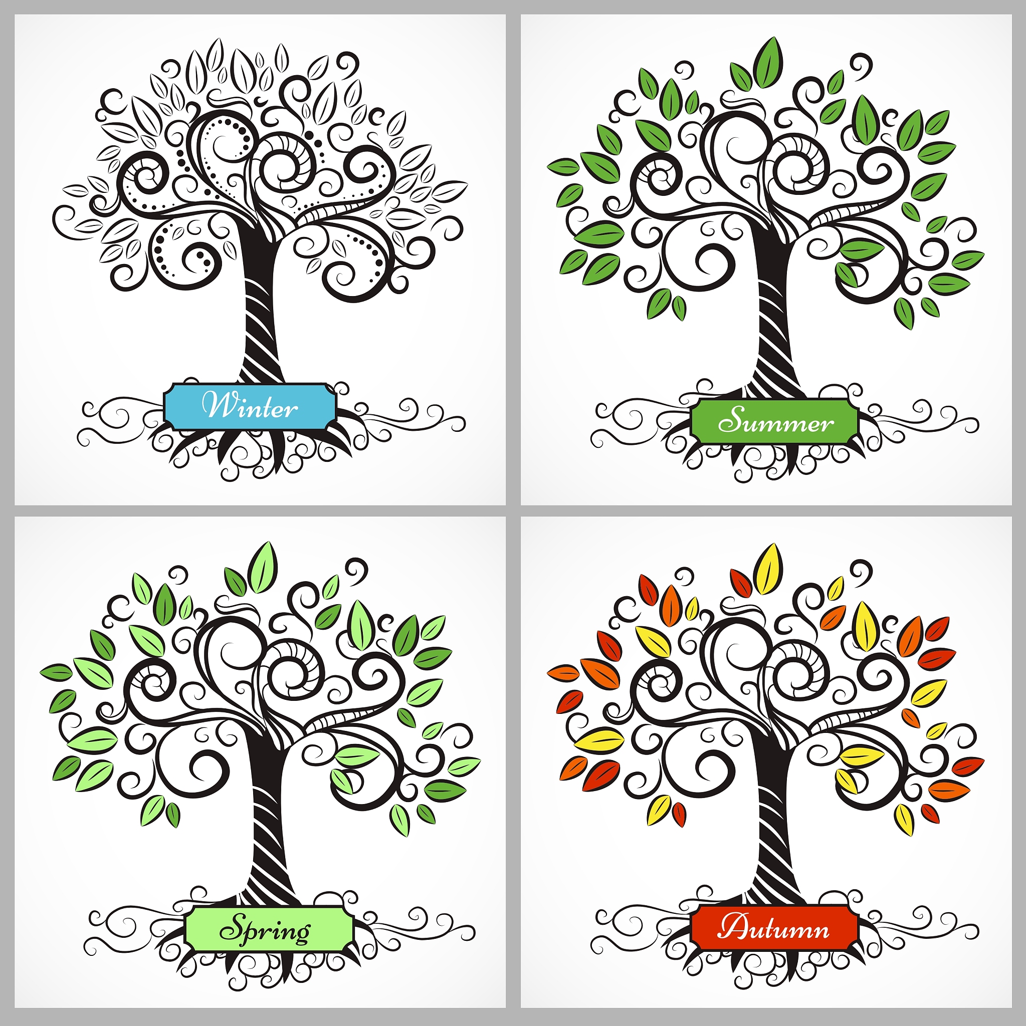 tree seasons