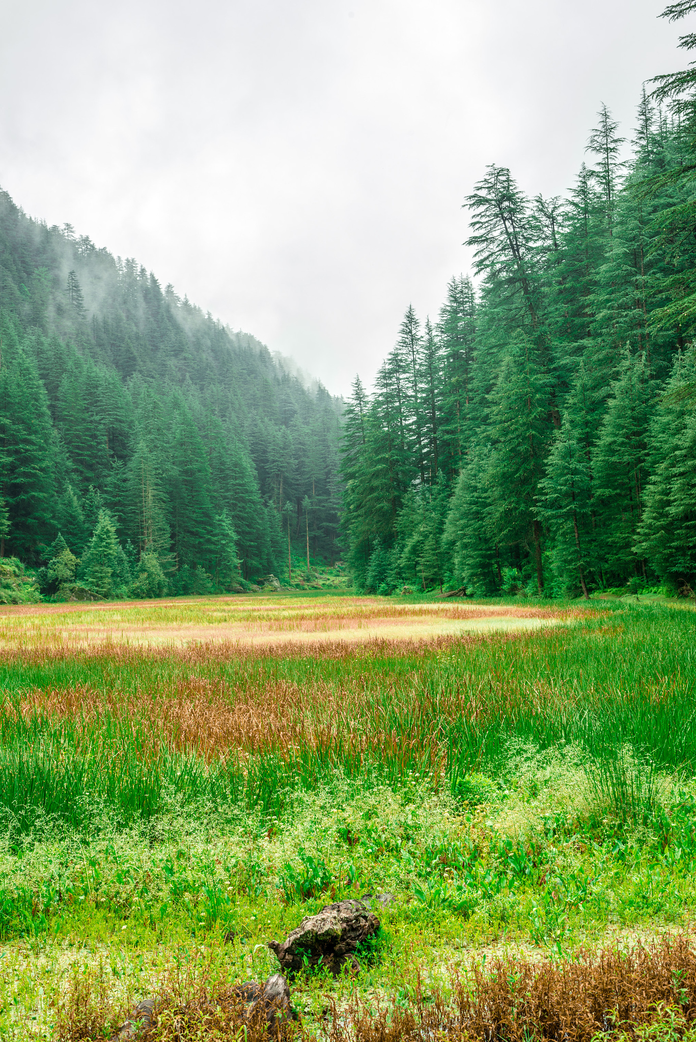 自然堂喜马拉雅补水面膜的包装的视觉美感以及包装的设计理念以及用户的体验