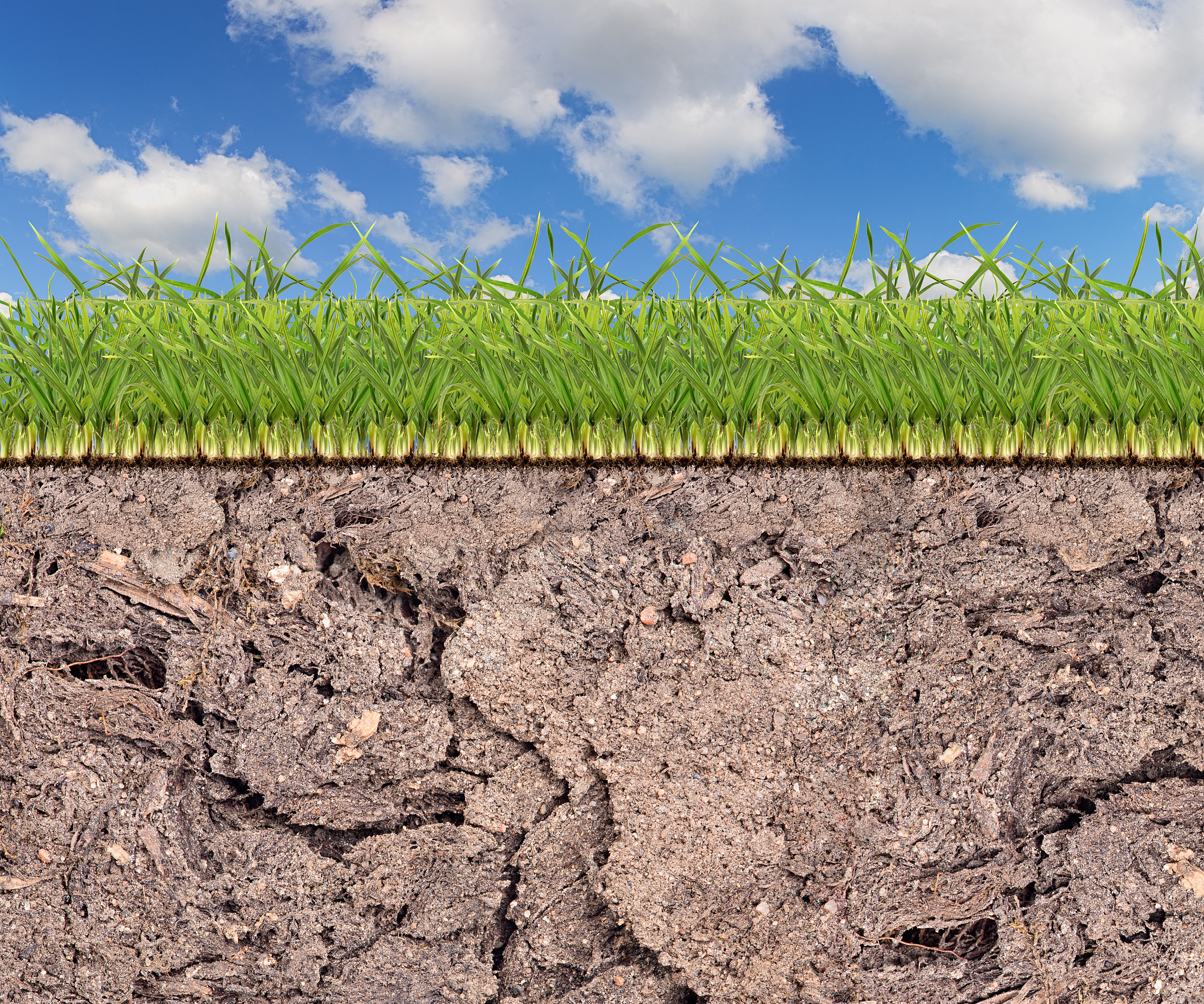 土壤重金属超标治理：防治措施与可持续发展