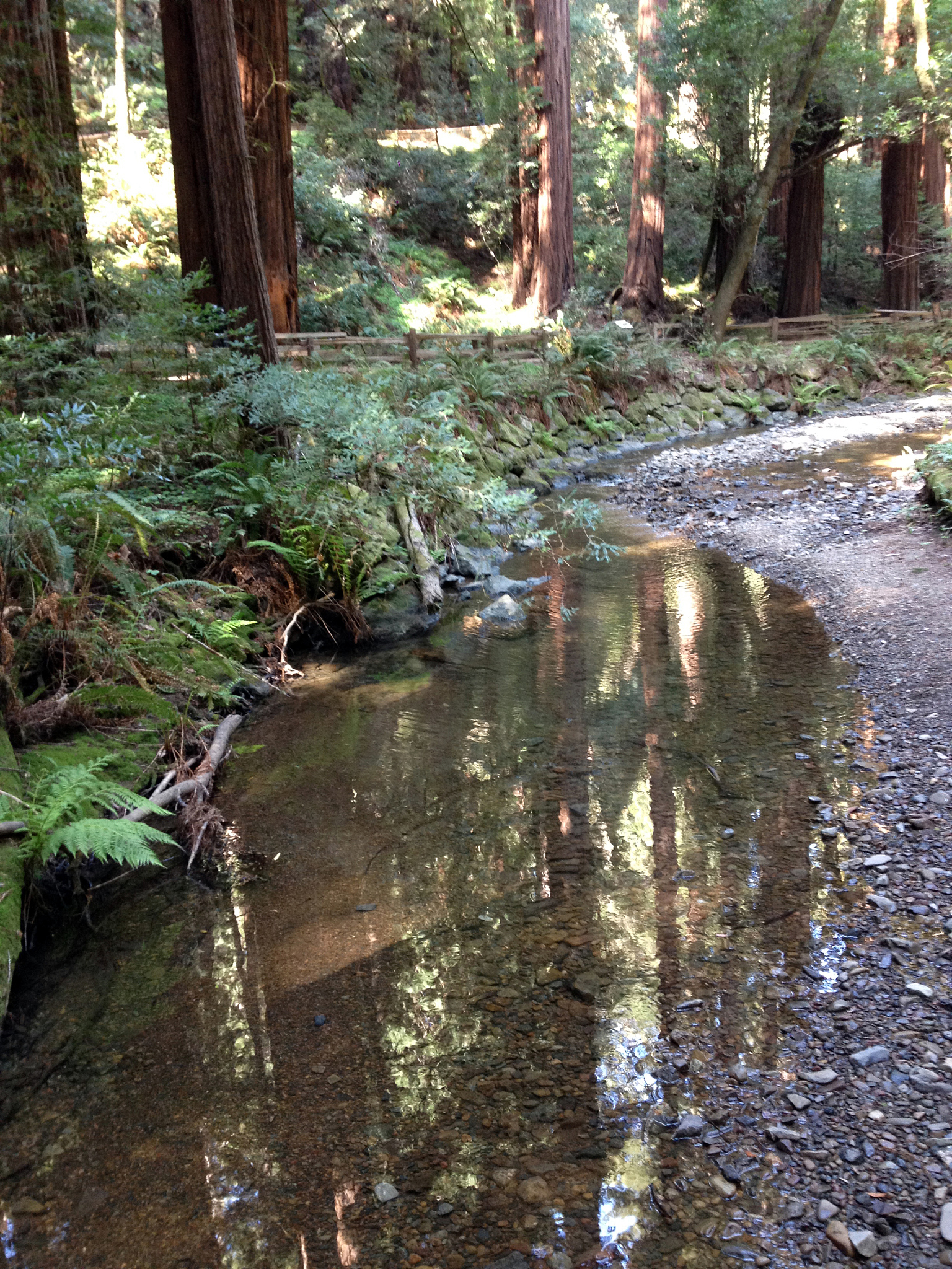 代表含义为水的名字