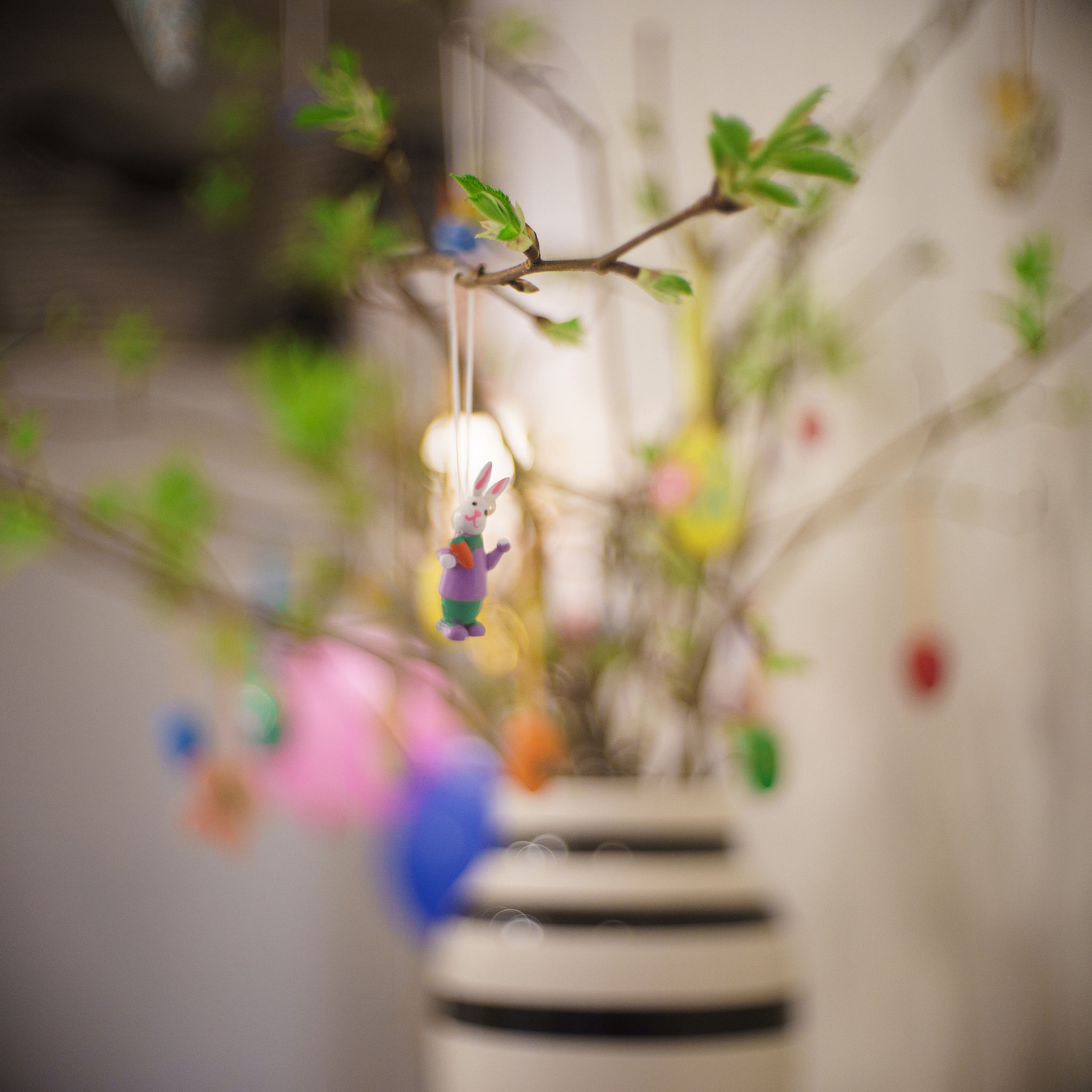 爱乐如初：重拾美好，拥抱生活