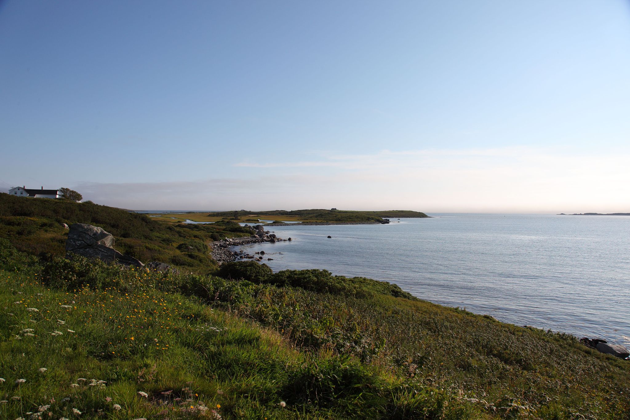 请为我提供NOVA11和NOVA11Pro的详细参数及购买力对比