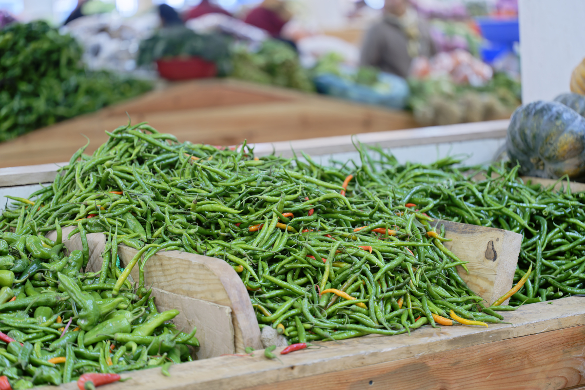 重庆市农业学校农产品加工与管理专业主要课程包含哪些