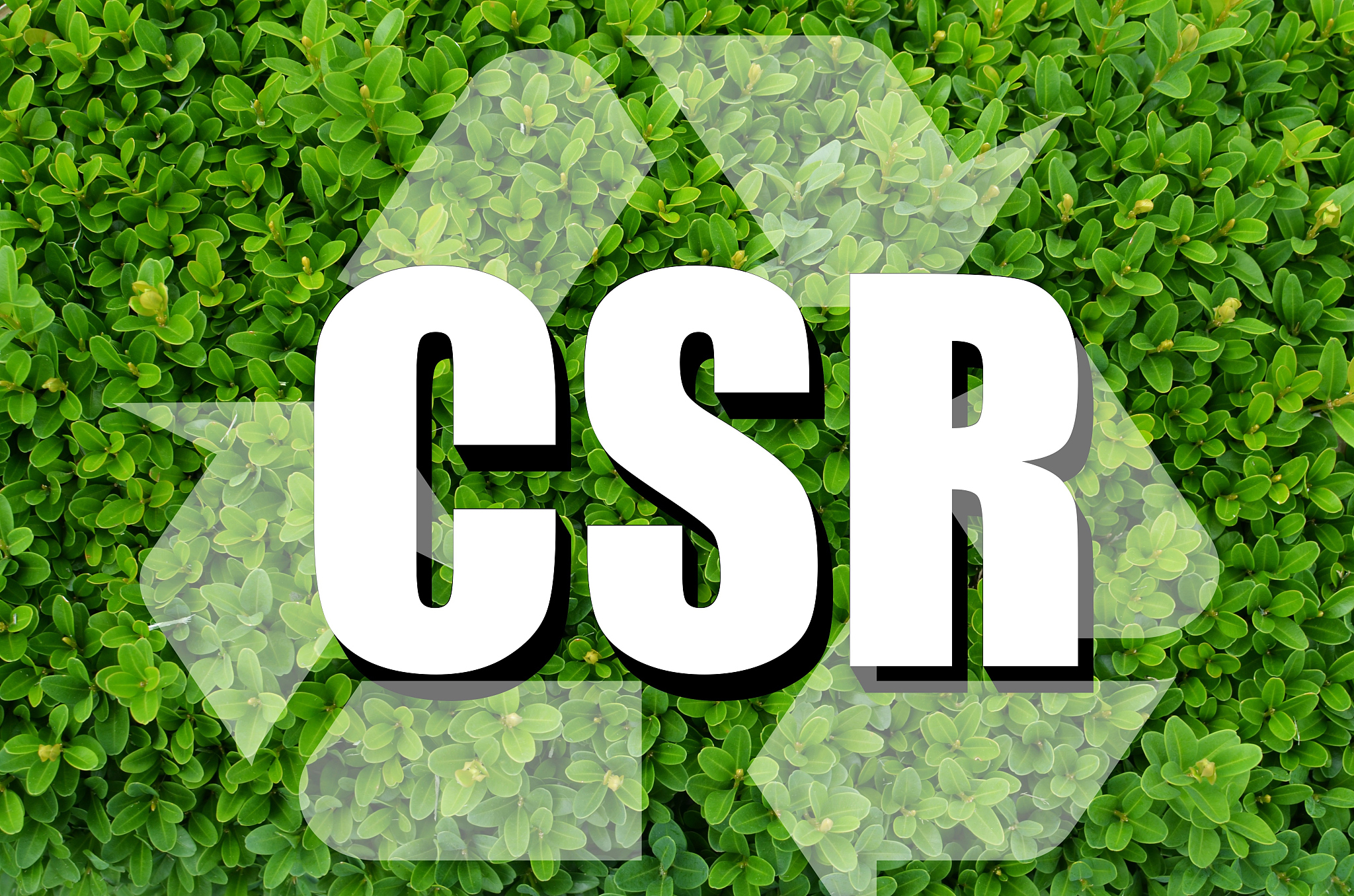 永康蓓蕾学校教育体系：全面发展，培养未来人才