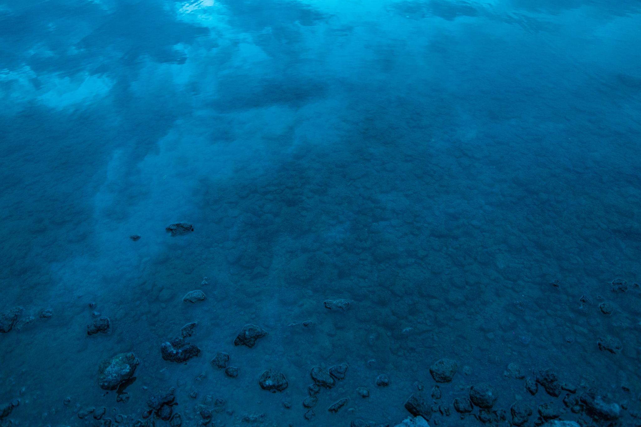 surface