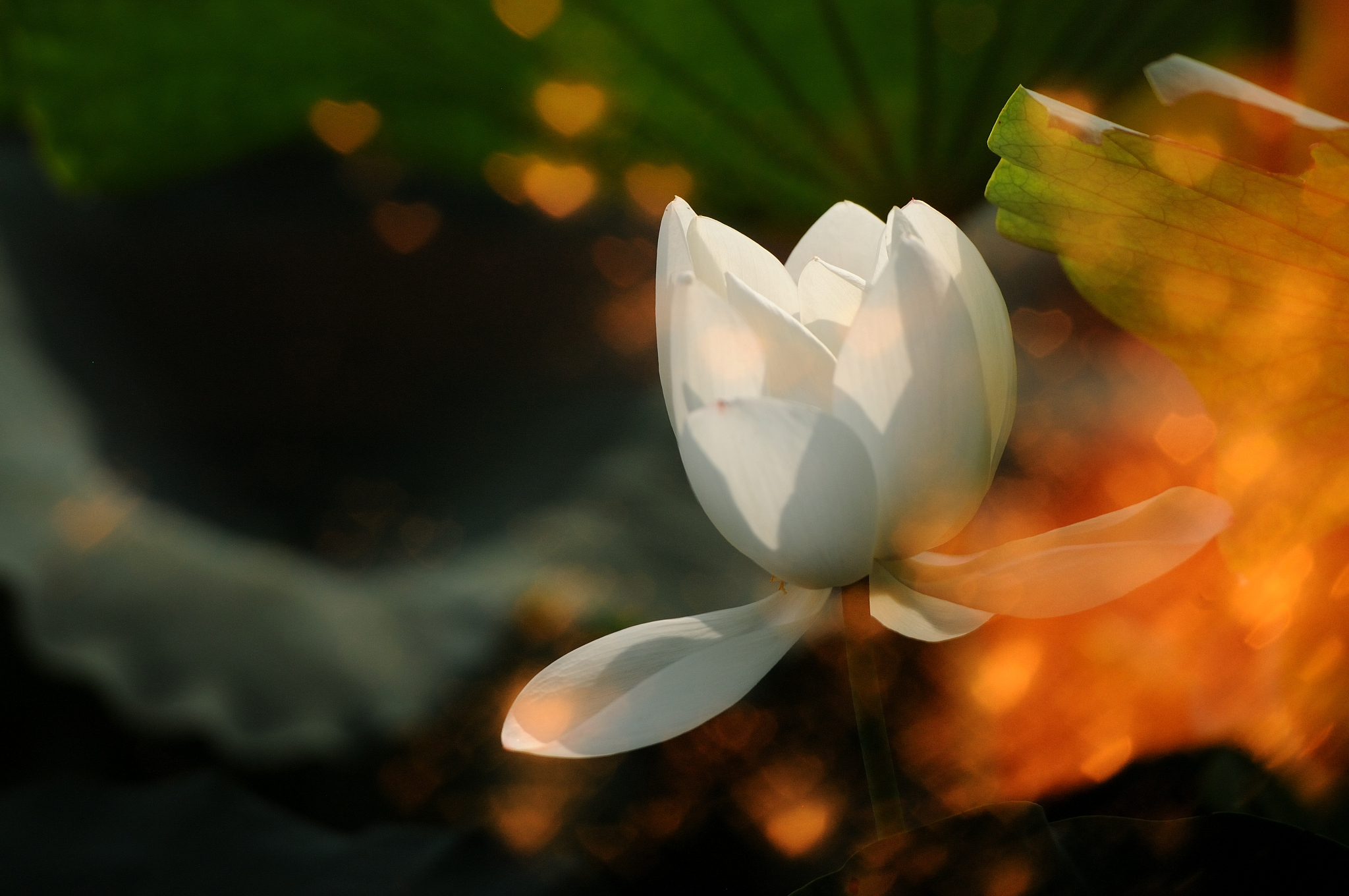 色不异空是什么意思_词语色不异空的意思