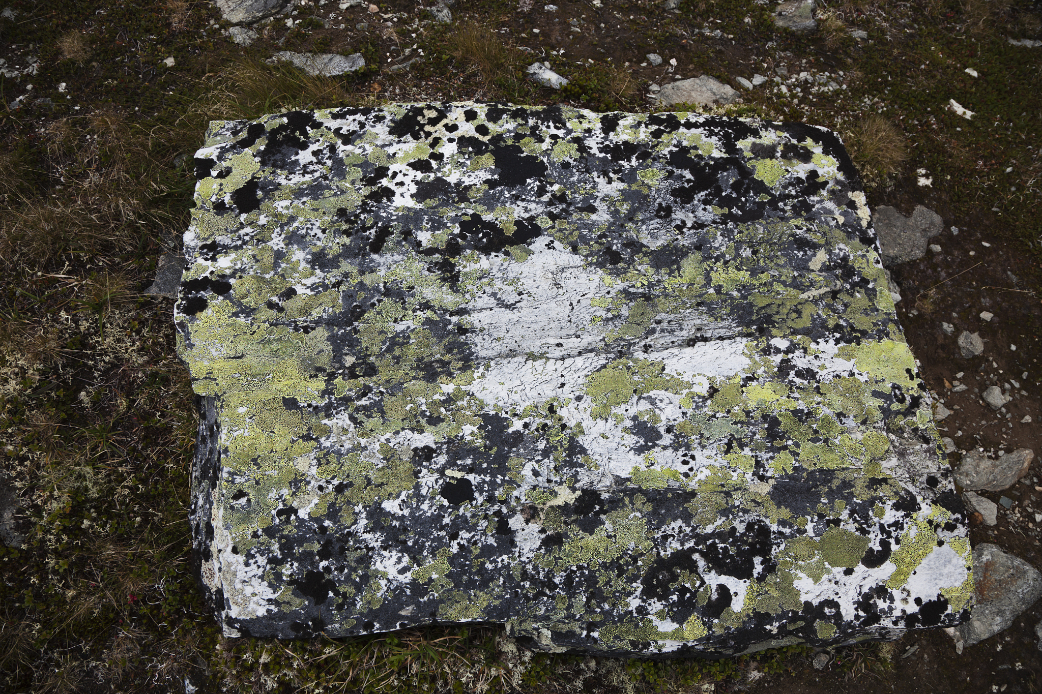 将下面的语句翻译成英文：因此为获得较高的稀土浸出率浸出前需要对氟碳铈矿进行预处理将稀土氟碳酸盐转化为易溶稀土氢氧化物。