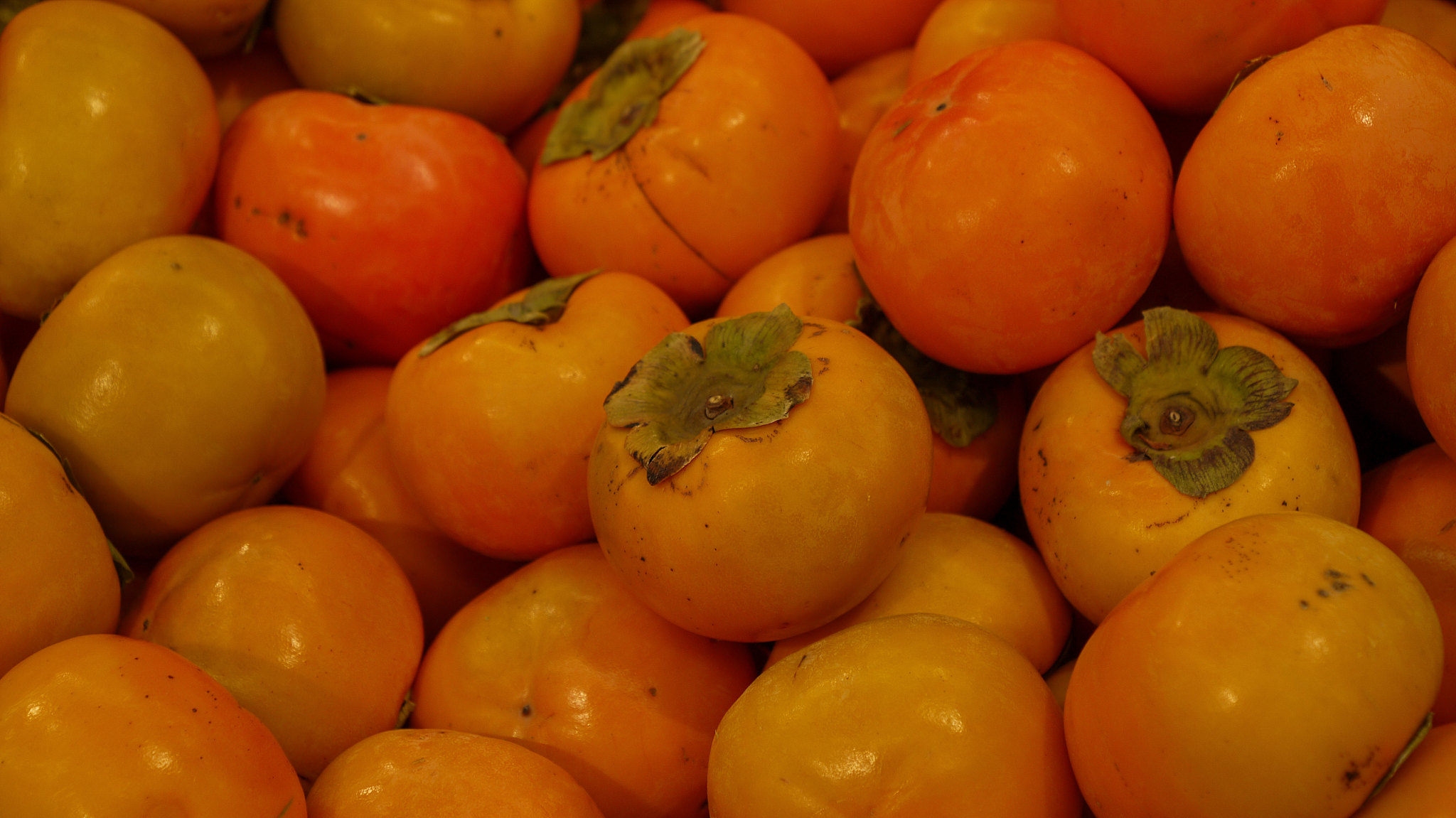 关于日灼果与营养元素的关系