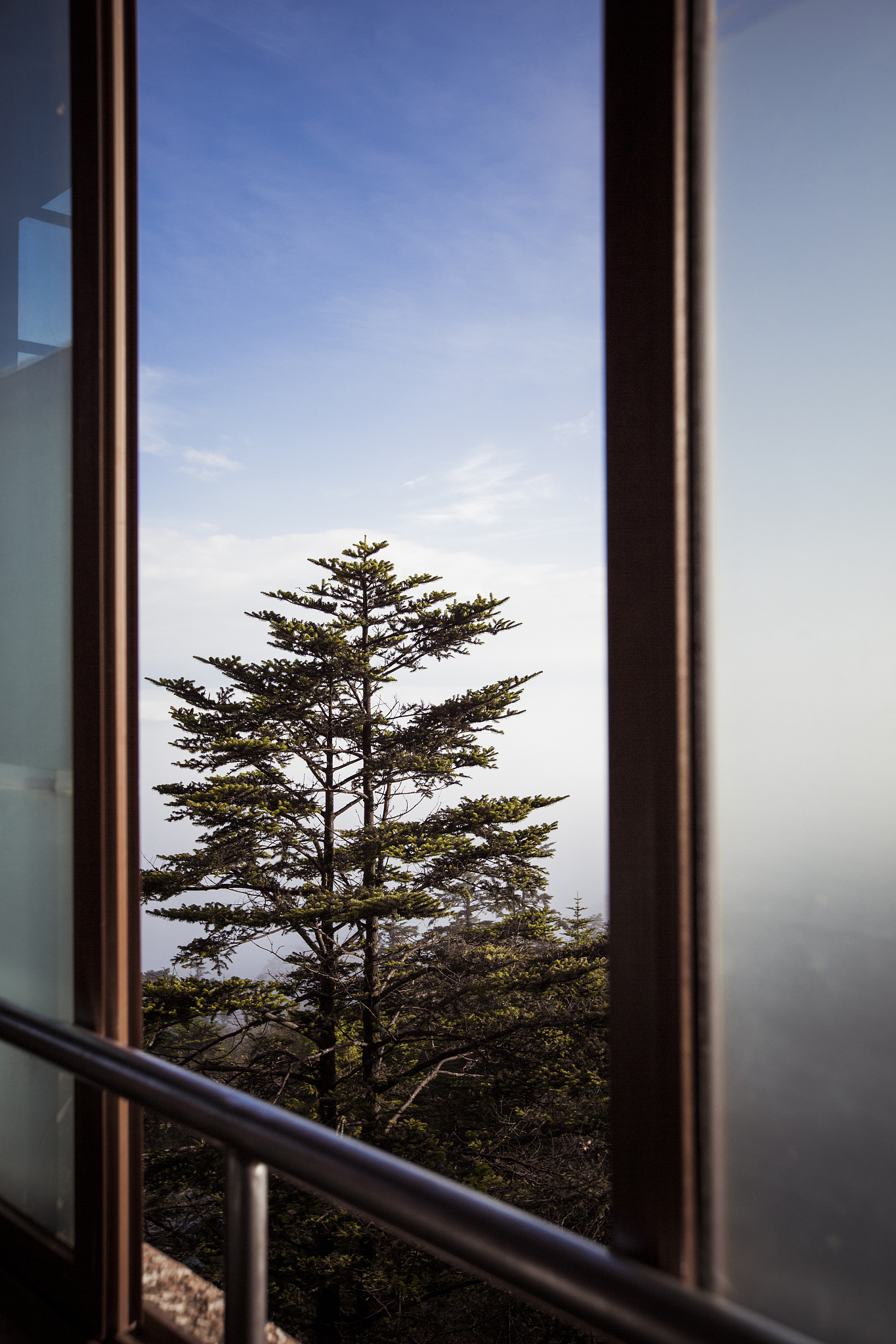 推荐几条峨眉山徒步爬山的路线说明路线长度并帮我做出预算并且要在金顶看日出