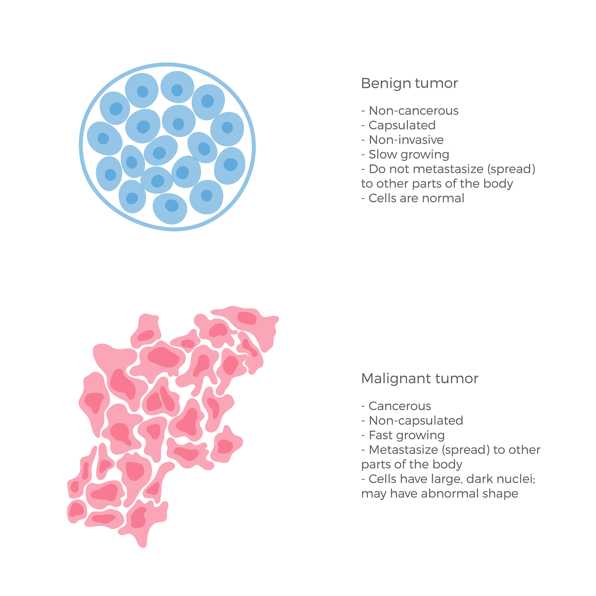高产胞外蛋白酶菌株筛选：Cpr与Dpann菌株比较研究