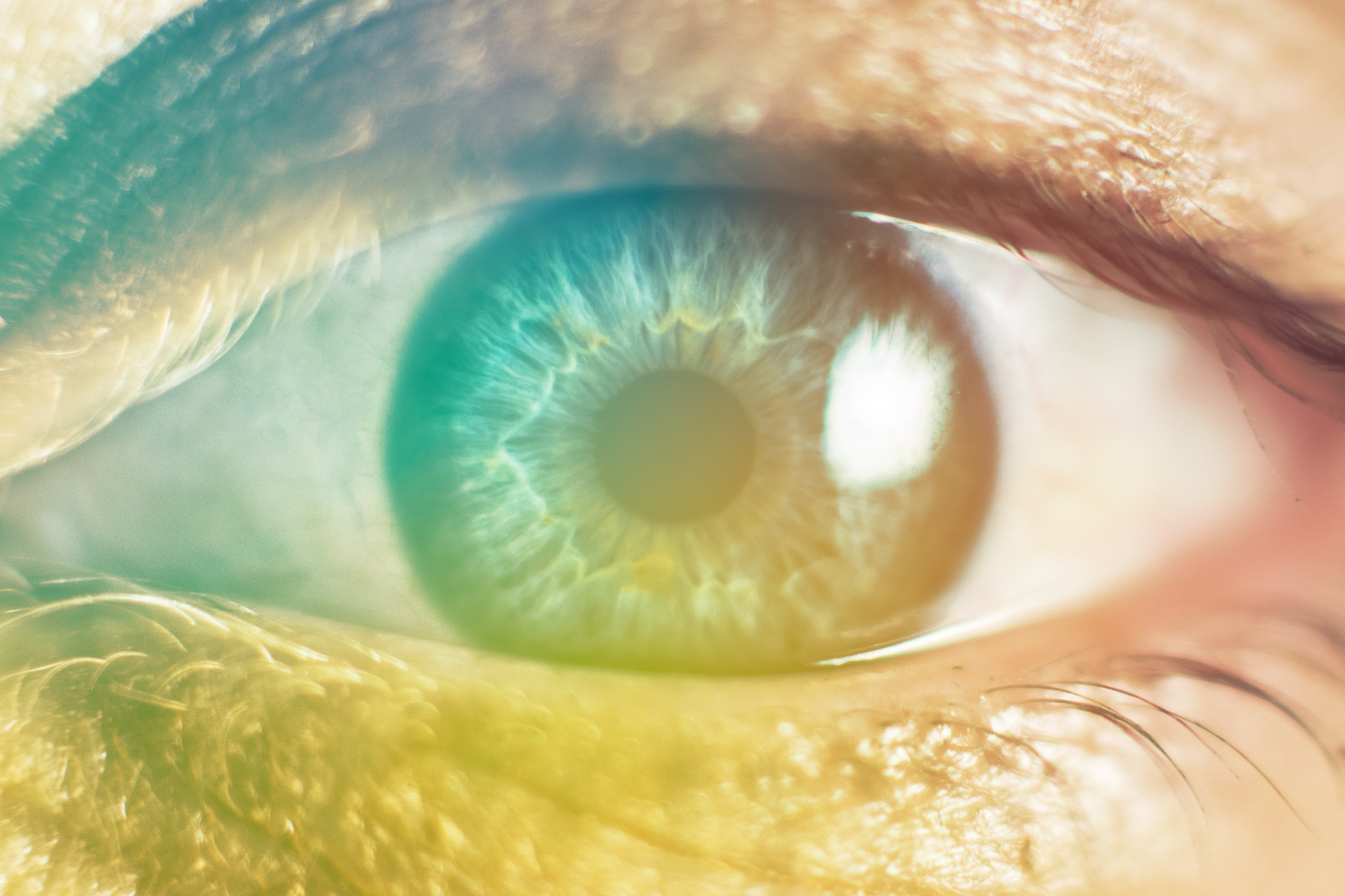 human female eye macro. closeup shot of female gray - blue colou