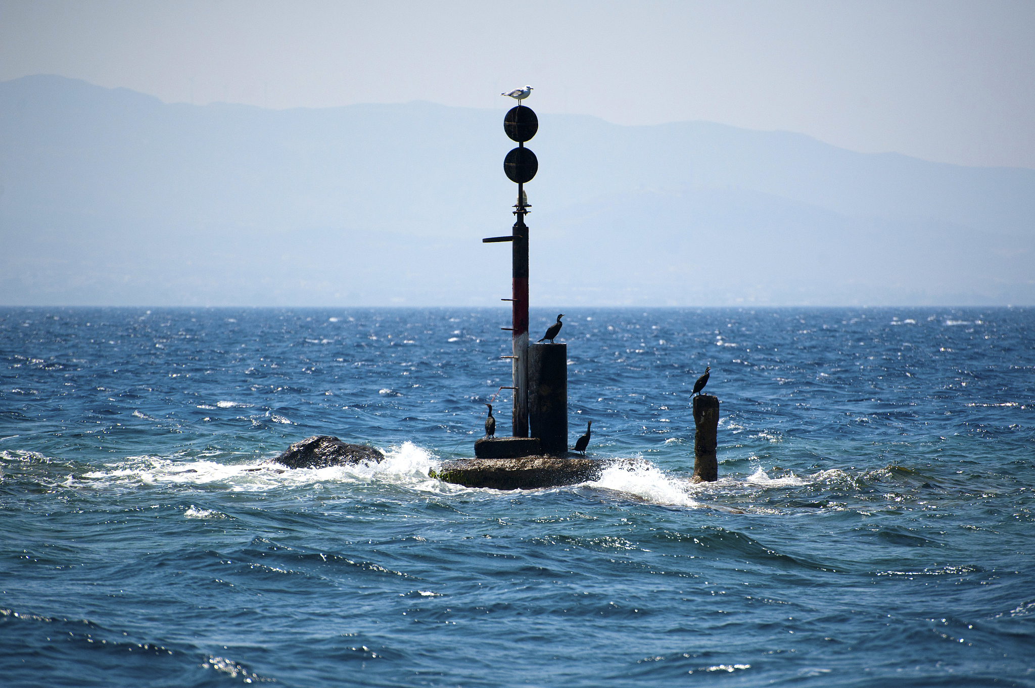 nautical danger sign on rock in the sea and cormorant