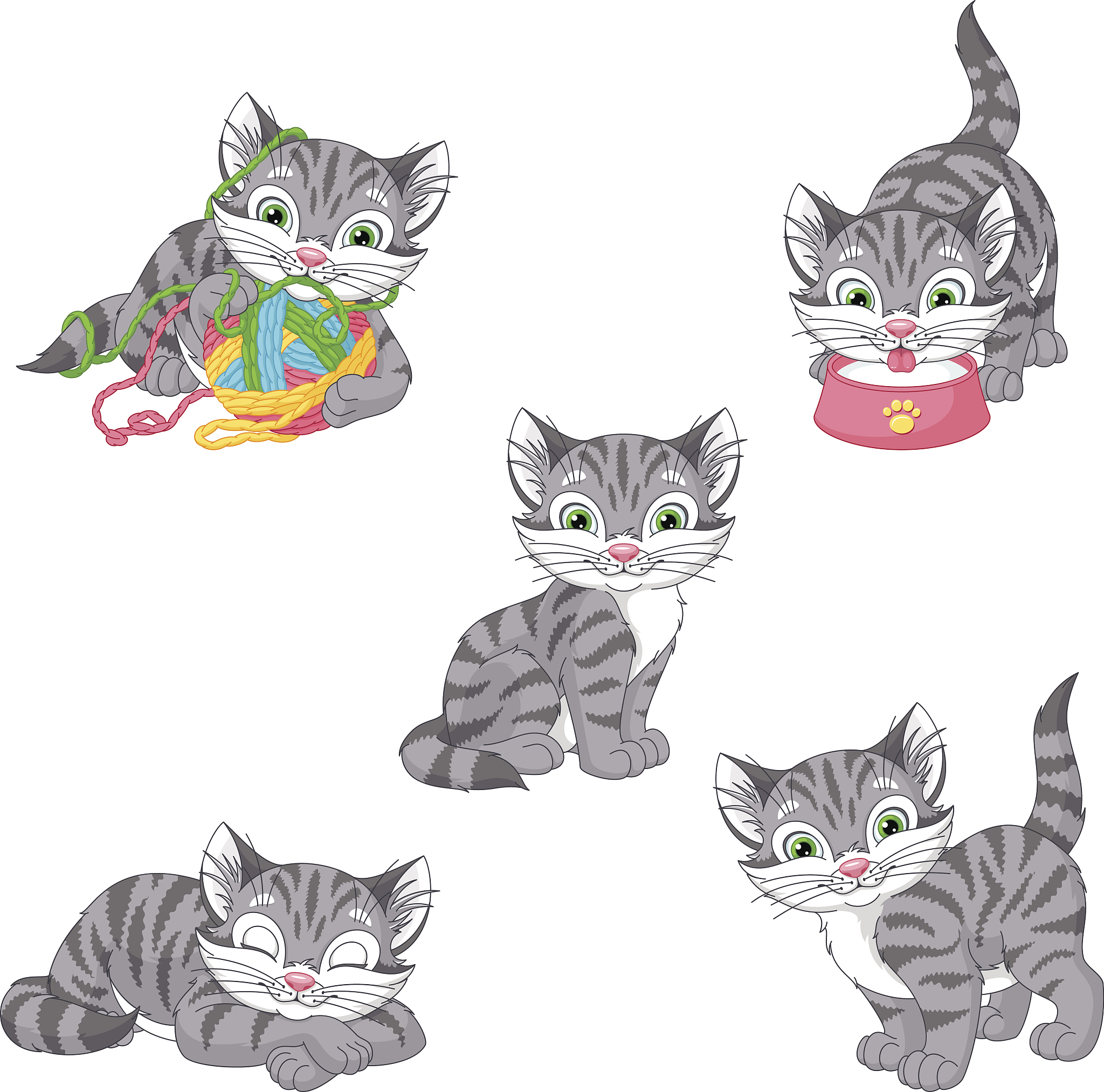 Uncle Cat: The Superstar of the Cat World