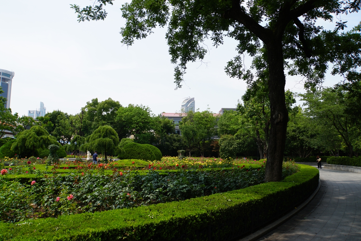 城市绿化工程：打造绿色宜居城市