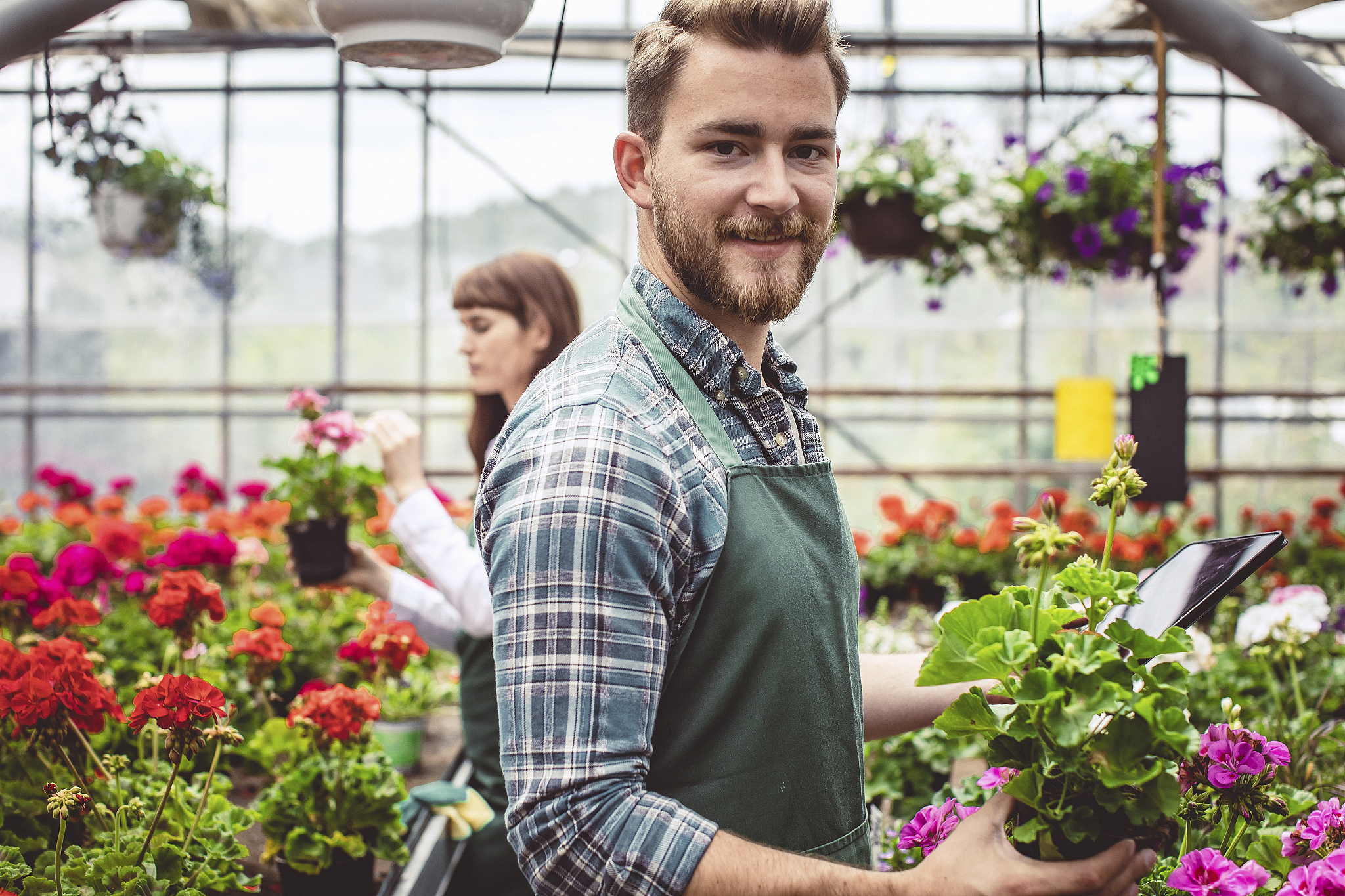 杨凌职业技术学院园艺技术专业就业方向：园林绿化、农业生产等