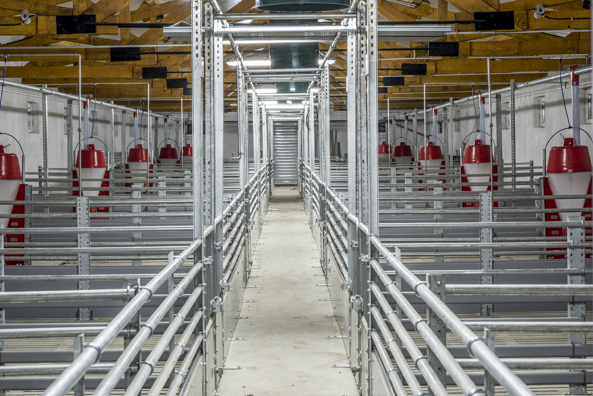 山东畜牧兽医职业学院畜禽智能化养殖专业课程设置 - 未来养殖业新方向