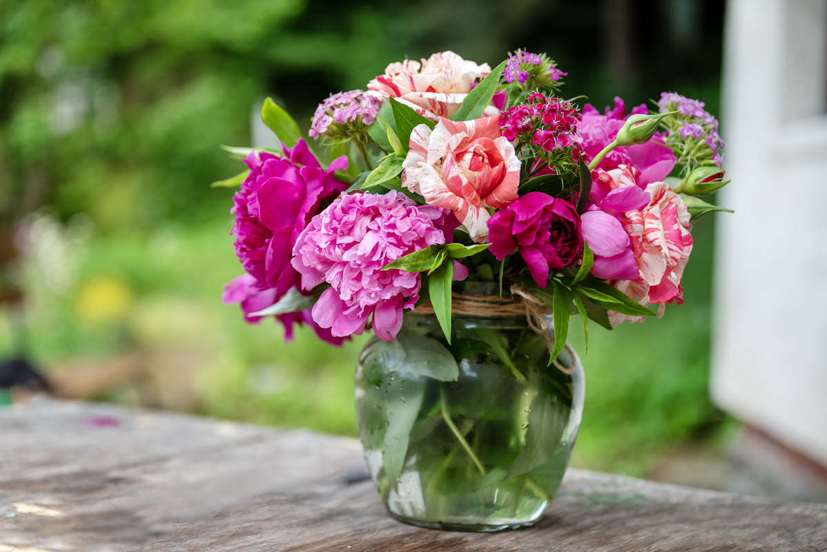 鲜花保鲜小妙招：花瓶里放盐真的有用吗？