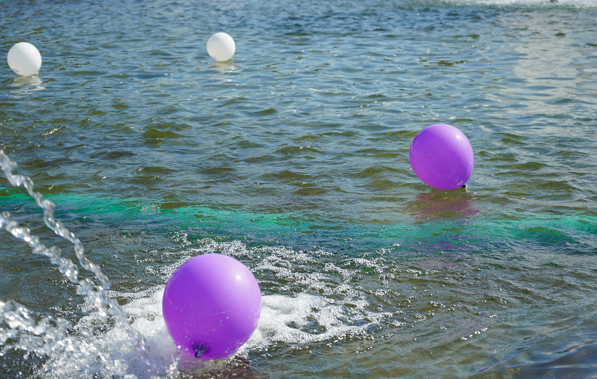 balloons float on the surface of the water.