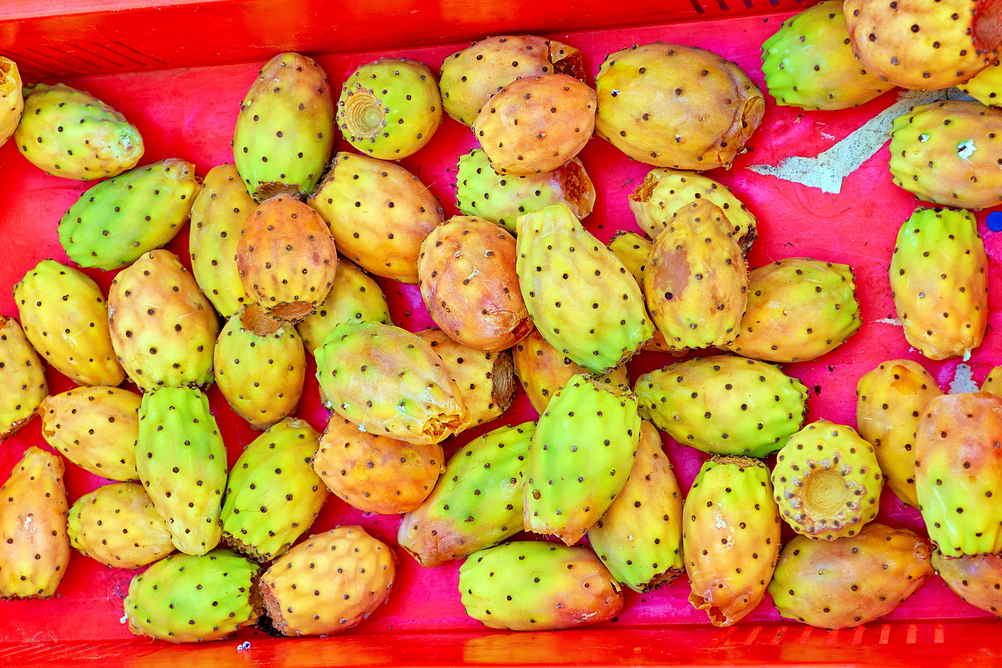 山东药品食品职业学院医疗器械经营与管理专业涉及哪些课程