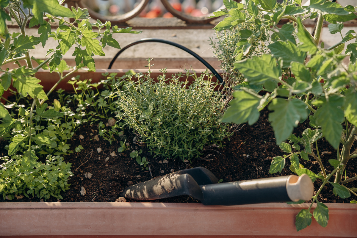安顺职业技术学院园艺技术专业都学些什么