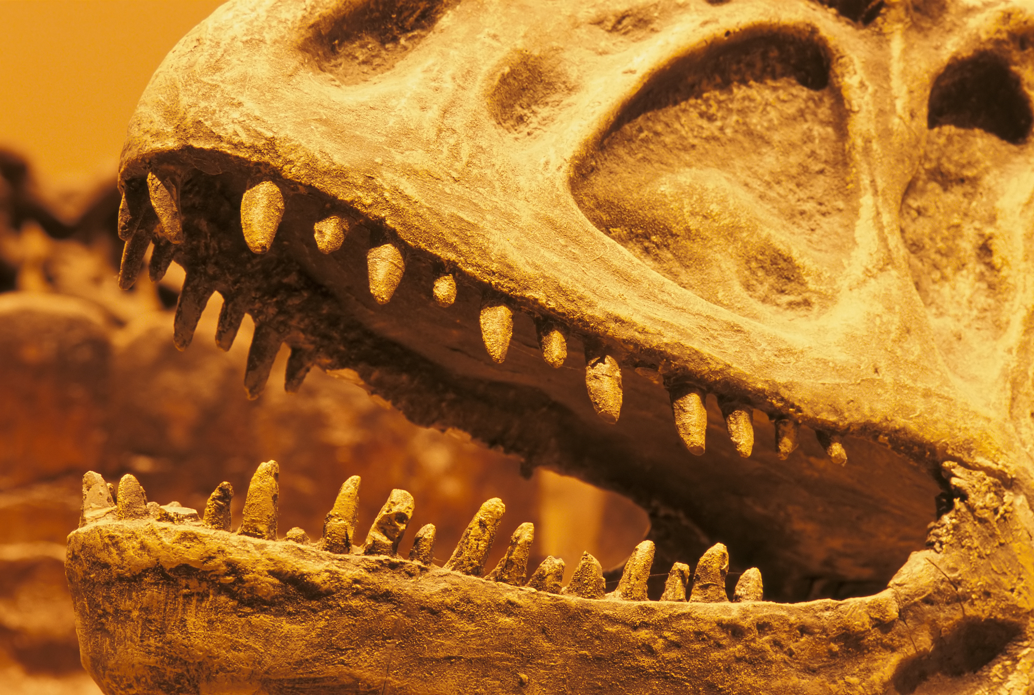 史前巨兽有哪些请全部说明现在还有史前巨兽吗