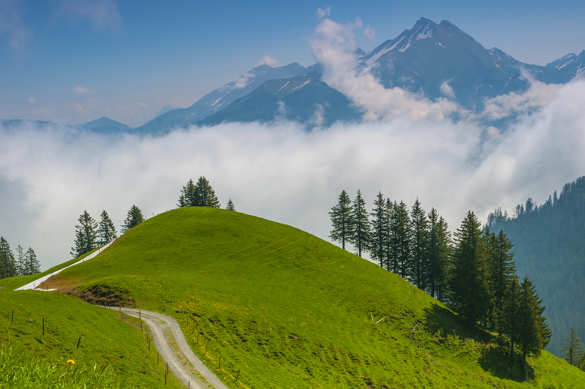 beautiful swiss alps. amazing mountain view with high peaks, gre