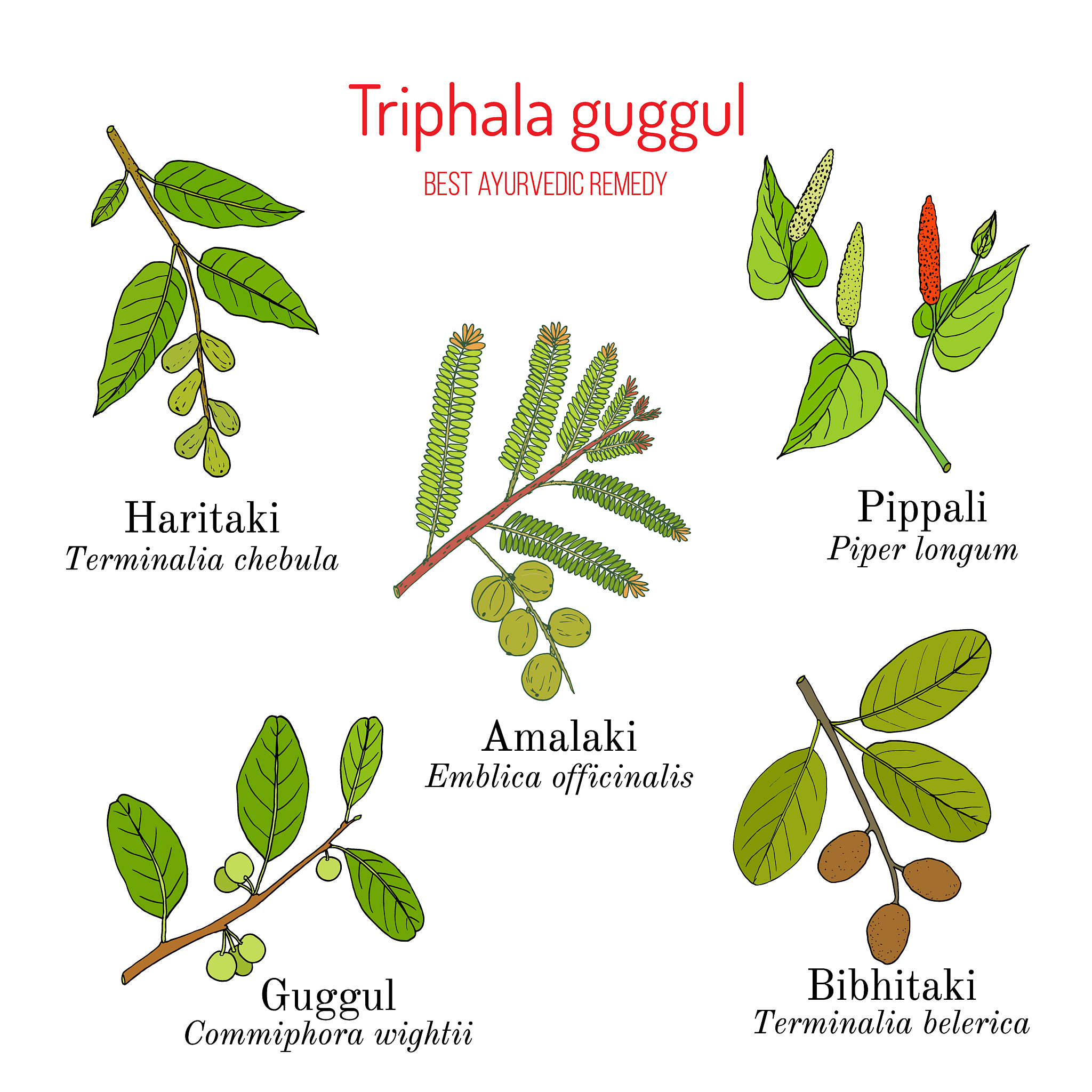 PHYTOTHERAPY RESEARCH期刊推荐：权威性与实用性兼具的植物疗法研究平台