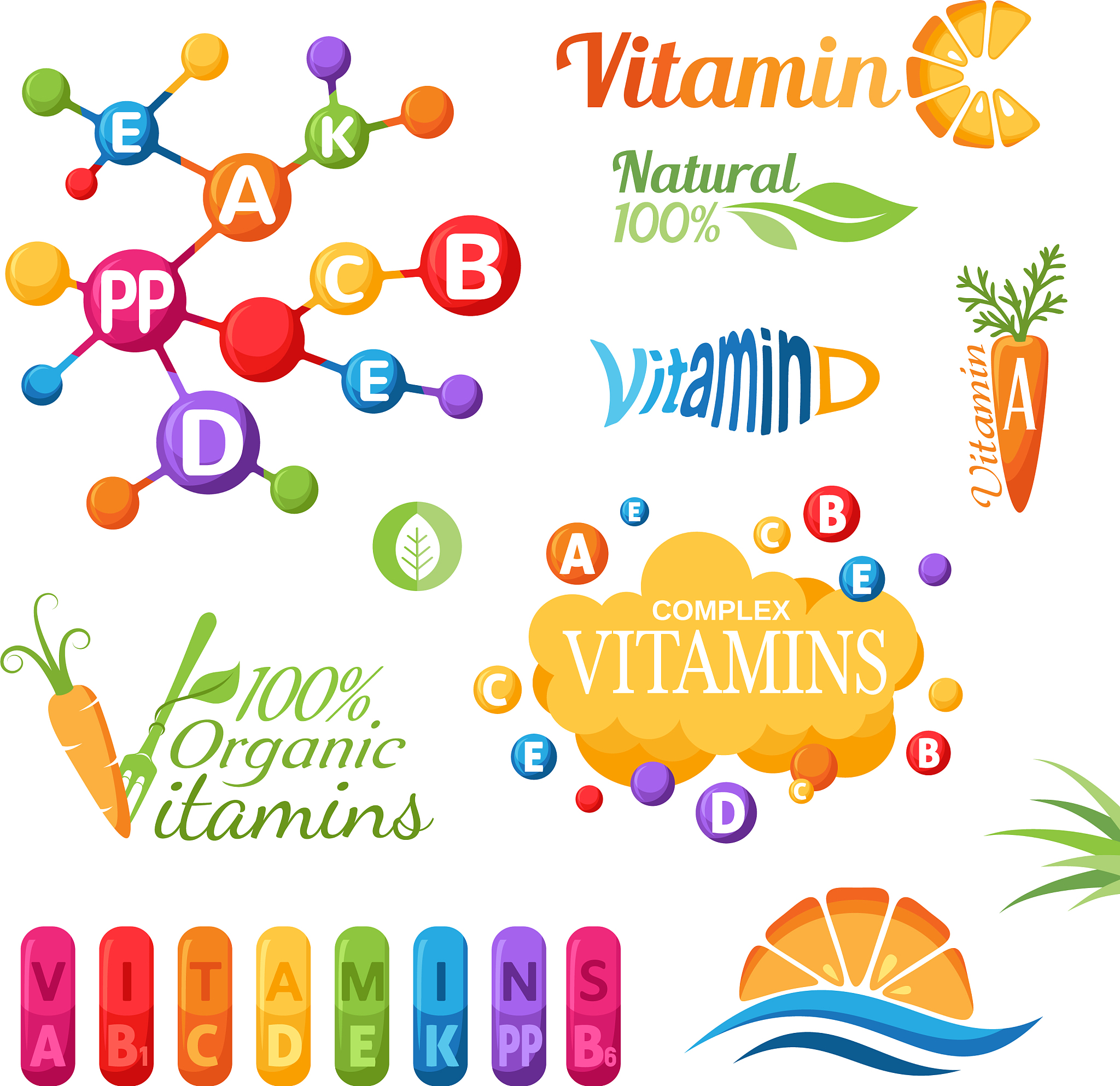 犬多发性视网膜病变预防措施