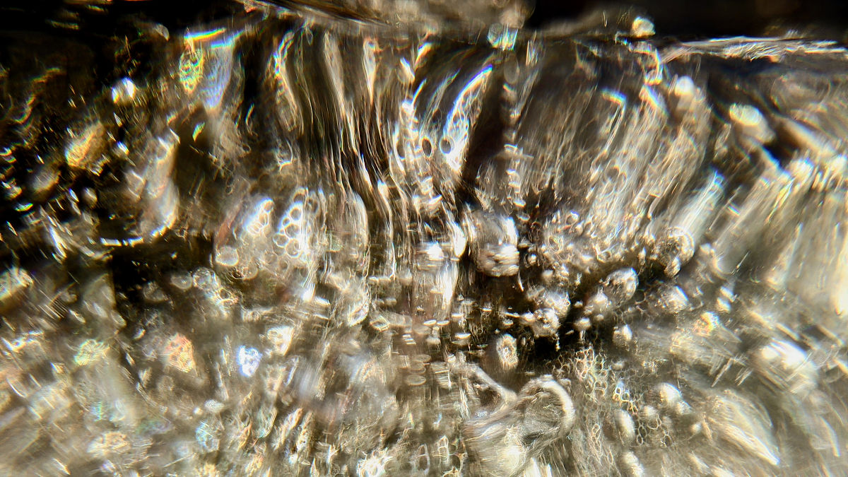 MARINE MICROPALEONTOLOGY 期刊推荐：为何选择它？