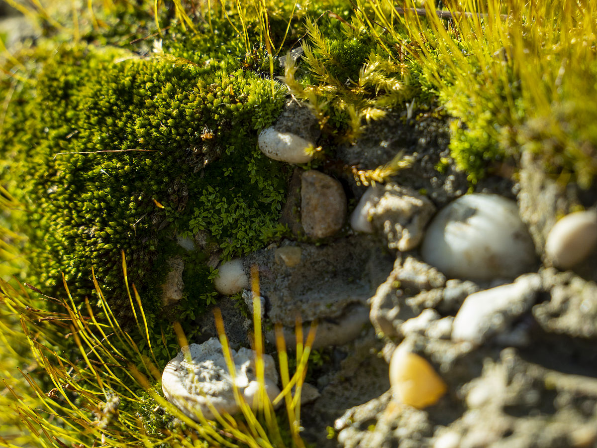 黄石道路桥梁施工中混凝土裂缝成因分析：湿度变化的影响