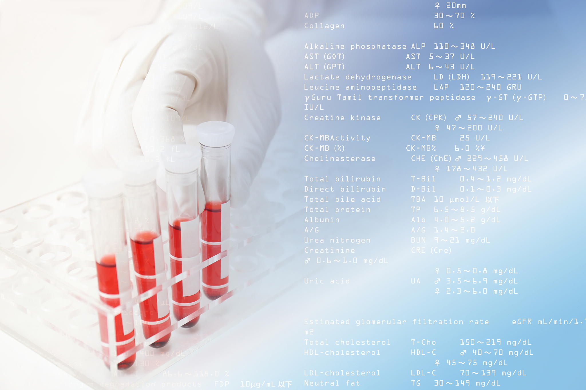 DNA为主题写一篇文章