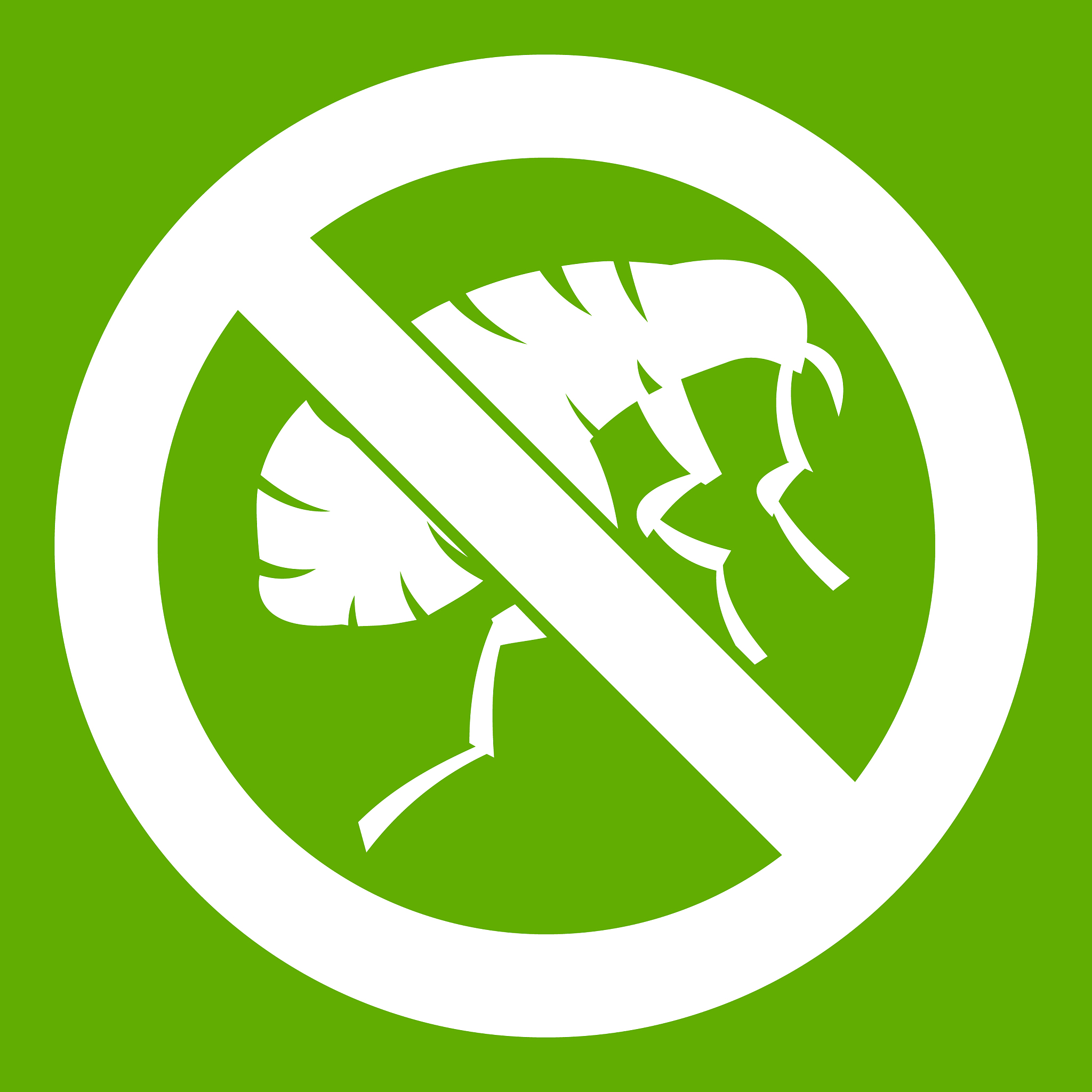 etching insect icon green