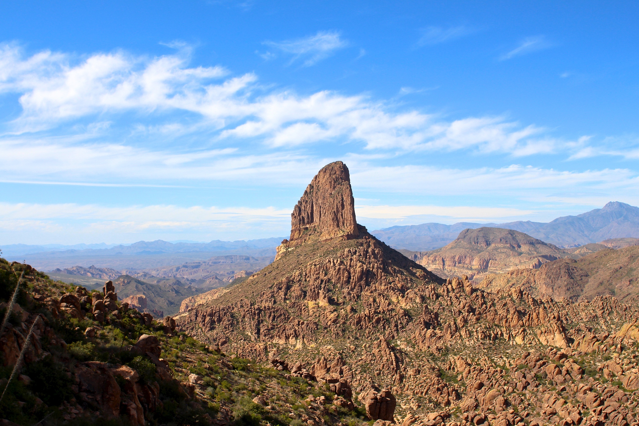 weaver's needle