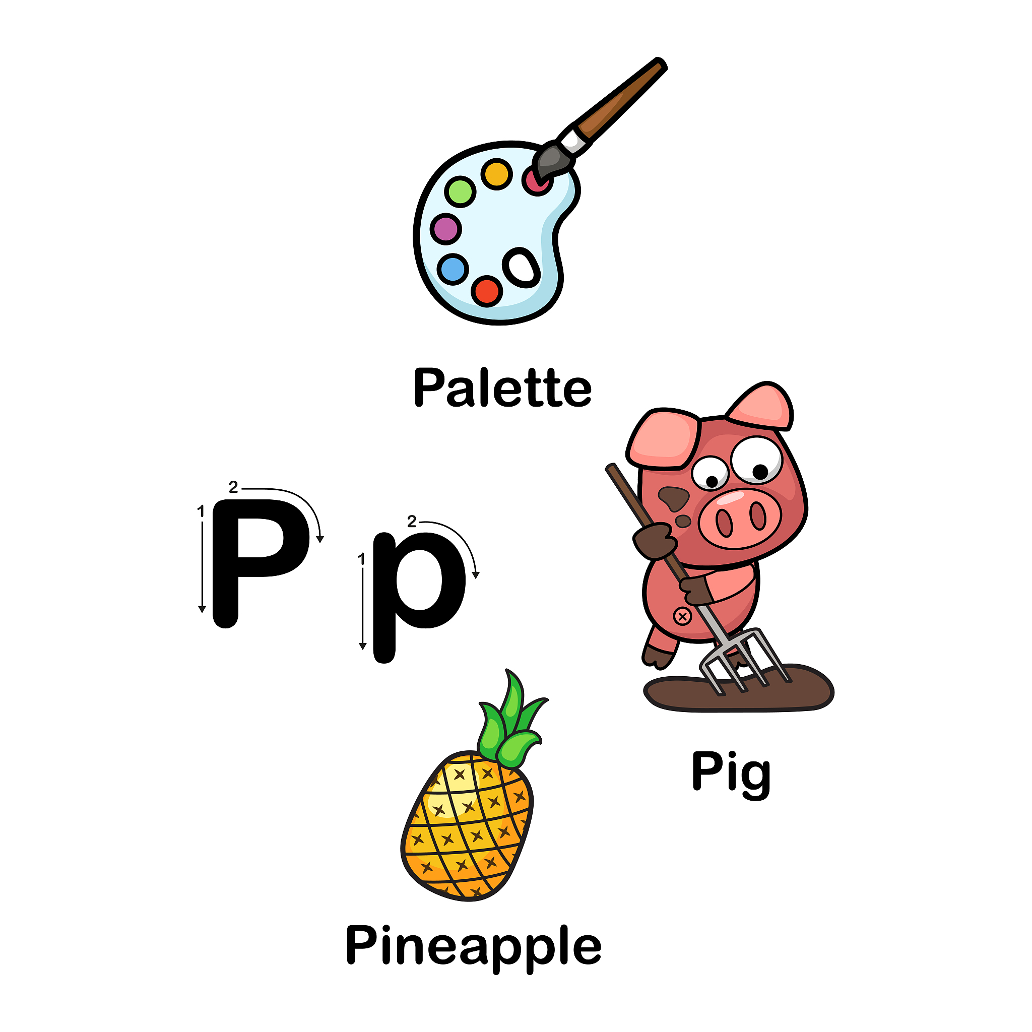 PEB字母组合能组成哪些单词？