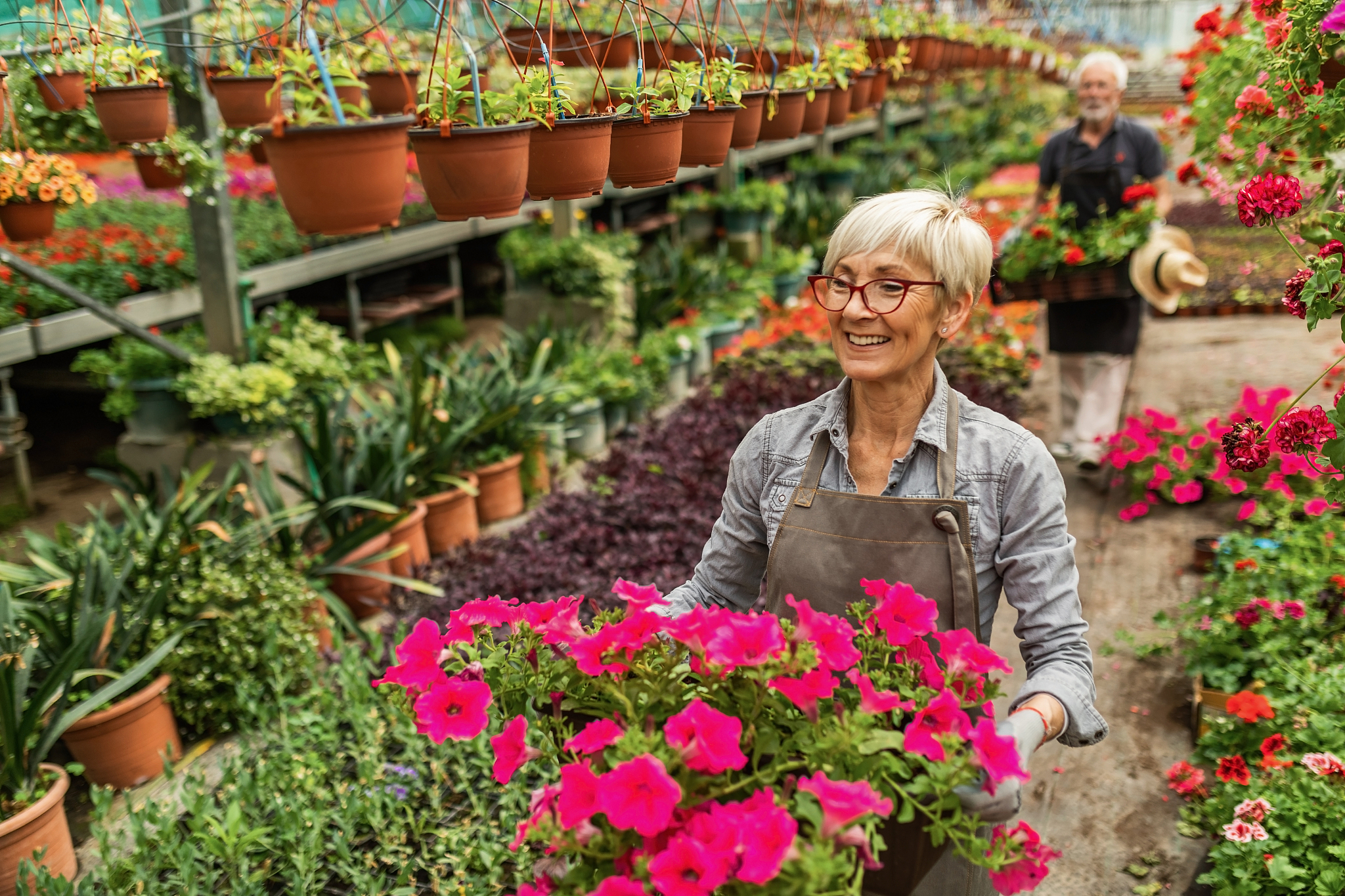 曲靖农业学校2019年五年一贯制大专招生报名网址