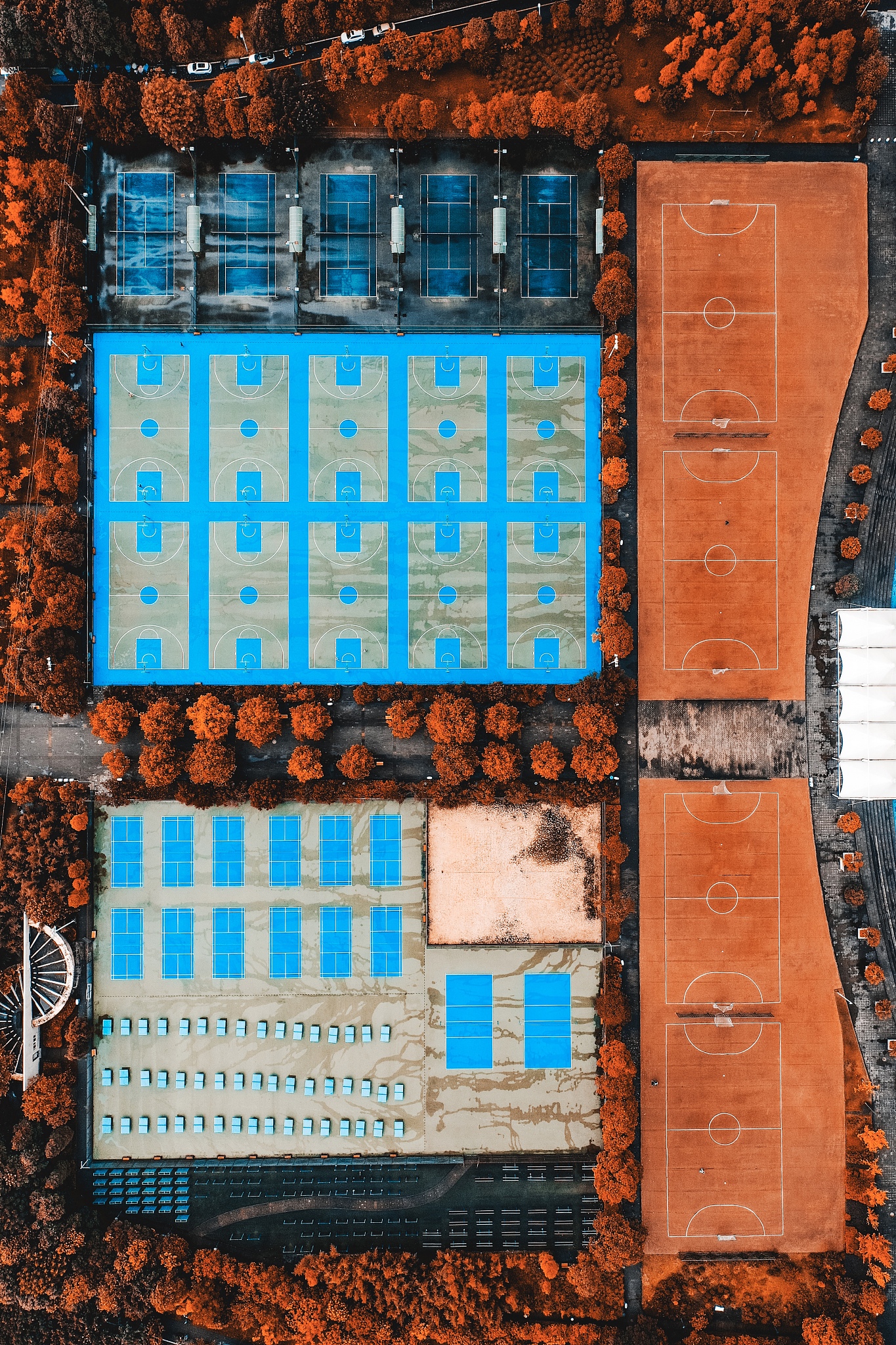 重庆大学2019年招生简章详解：本科、硕士、博士招生计划及政策