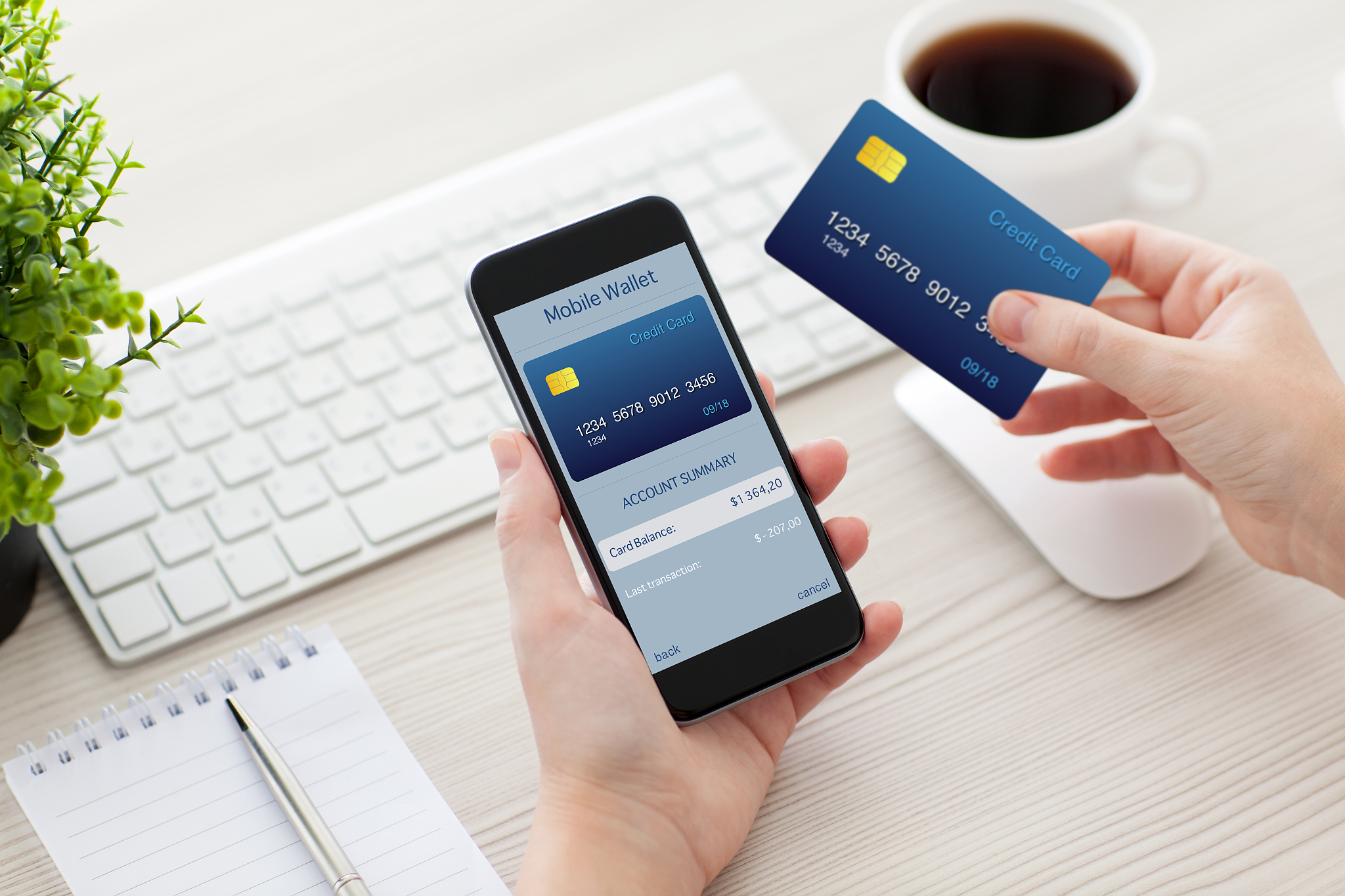 female hands holding phone with mobile wallet for online shoppin
