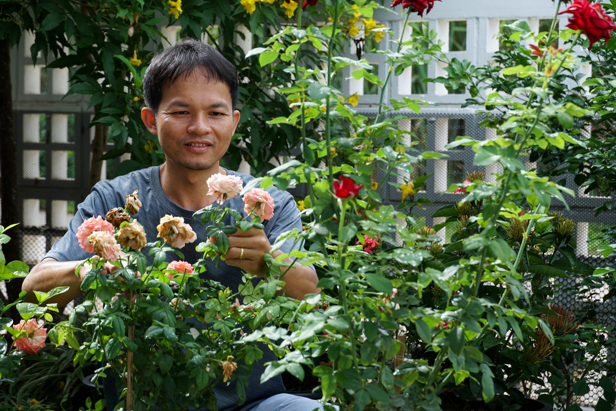 山西农业大学有园艺专业吗