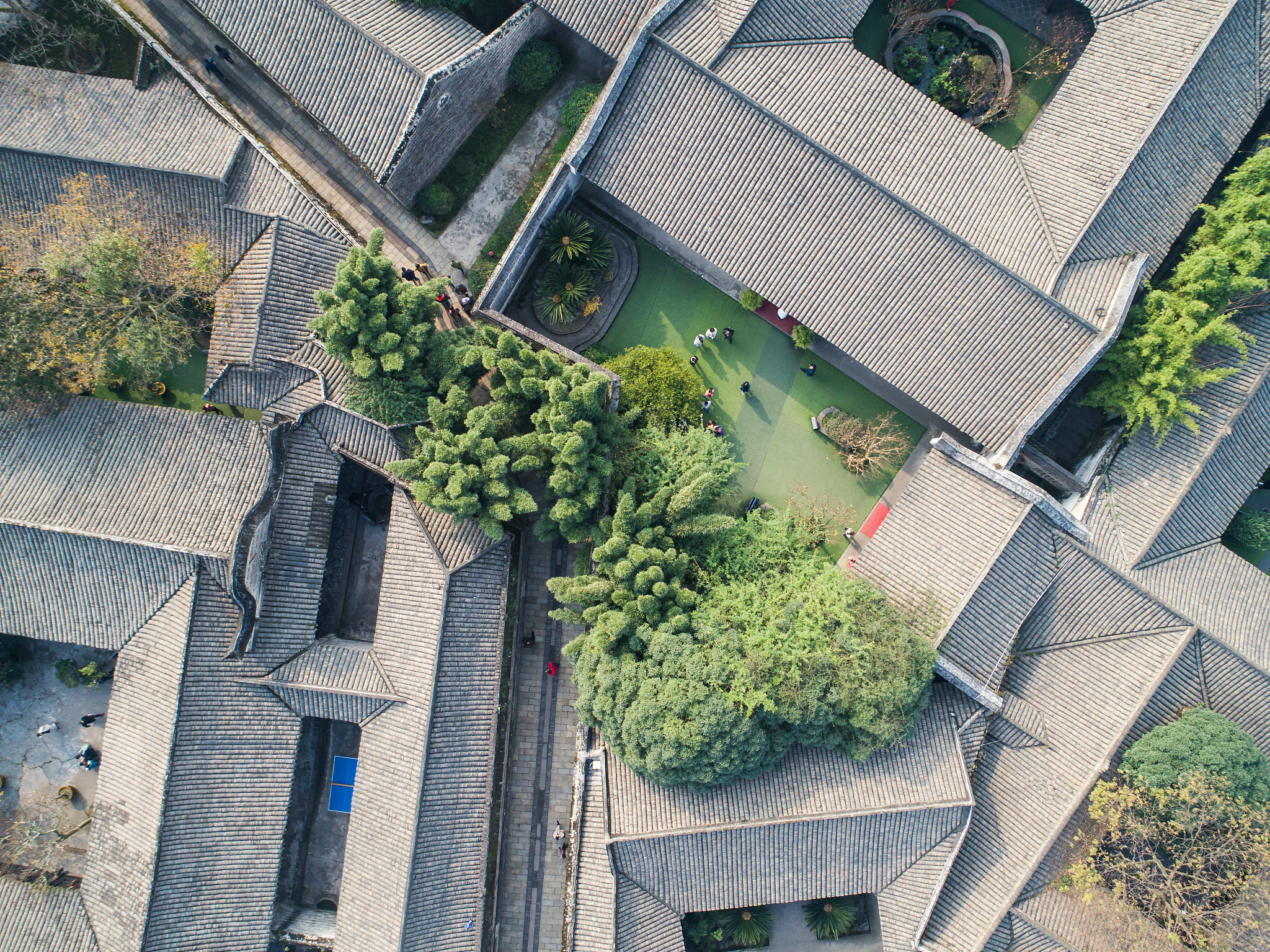 安仁职业中专是公办吗？招生专业有哪些？