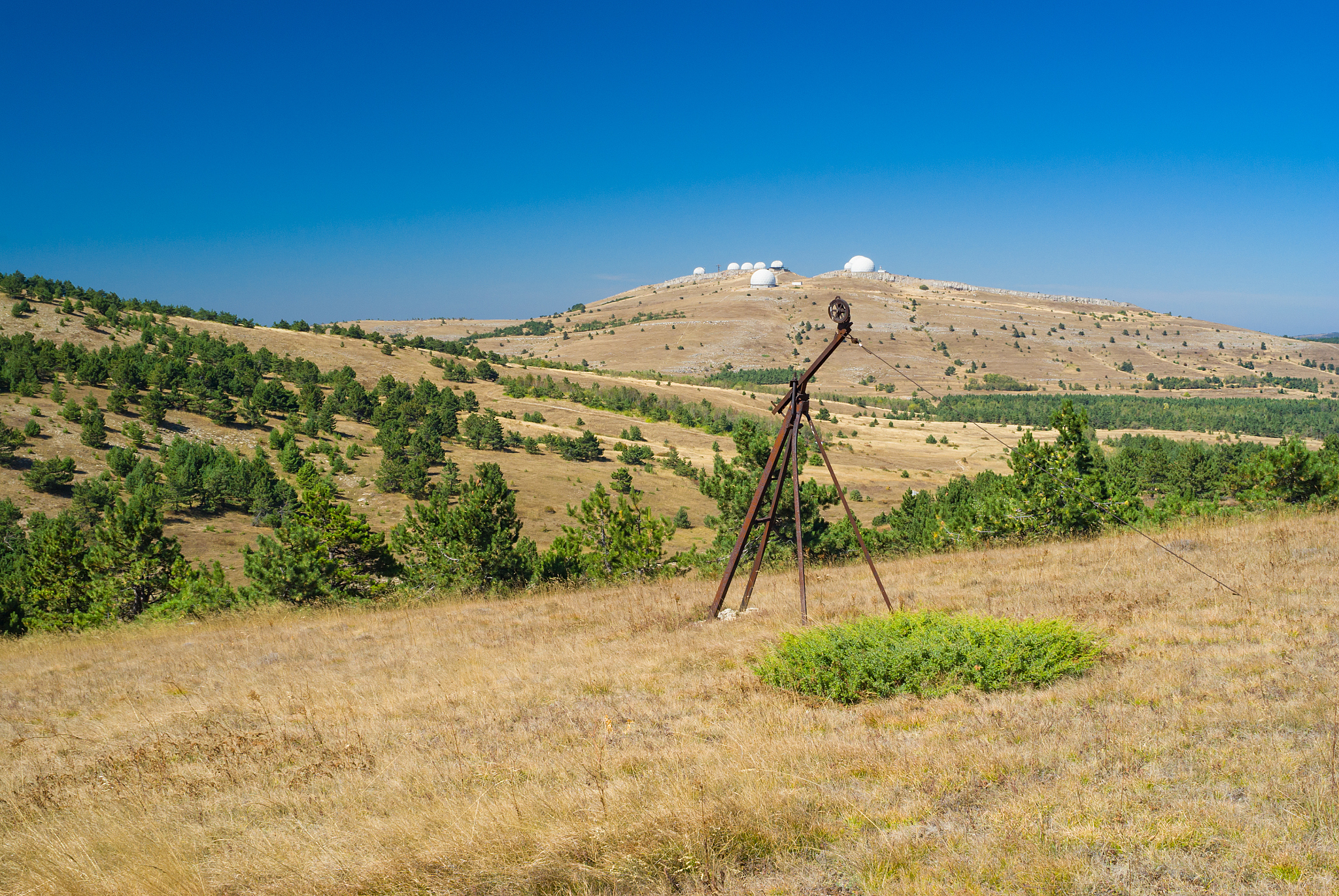 不我要你做助手我要做朋友我给你起个名字吧