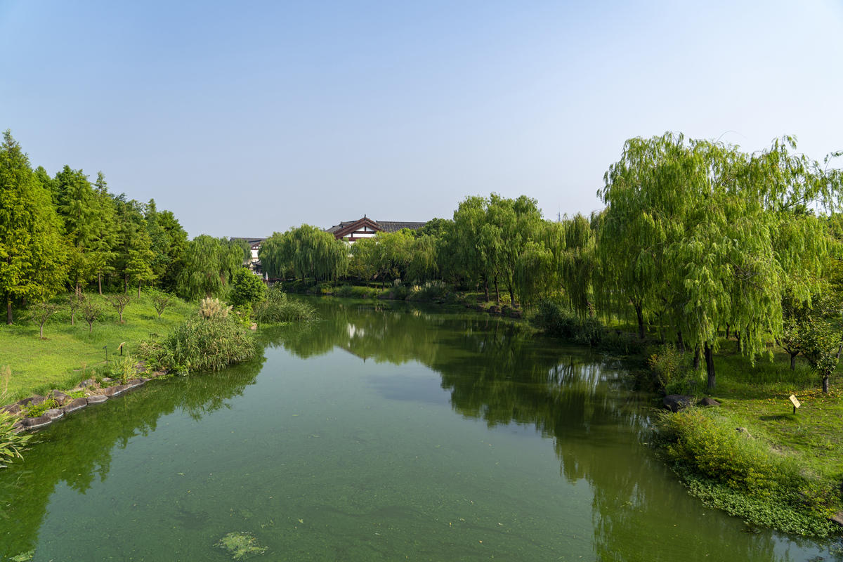芜湖市民眼中的城市变化：美好与挑战并存